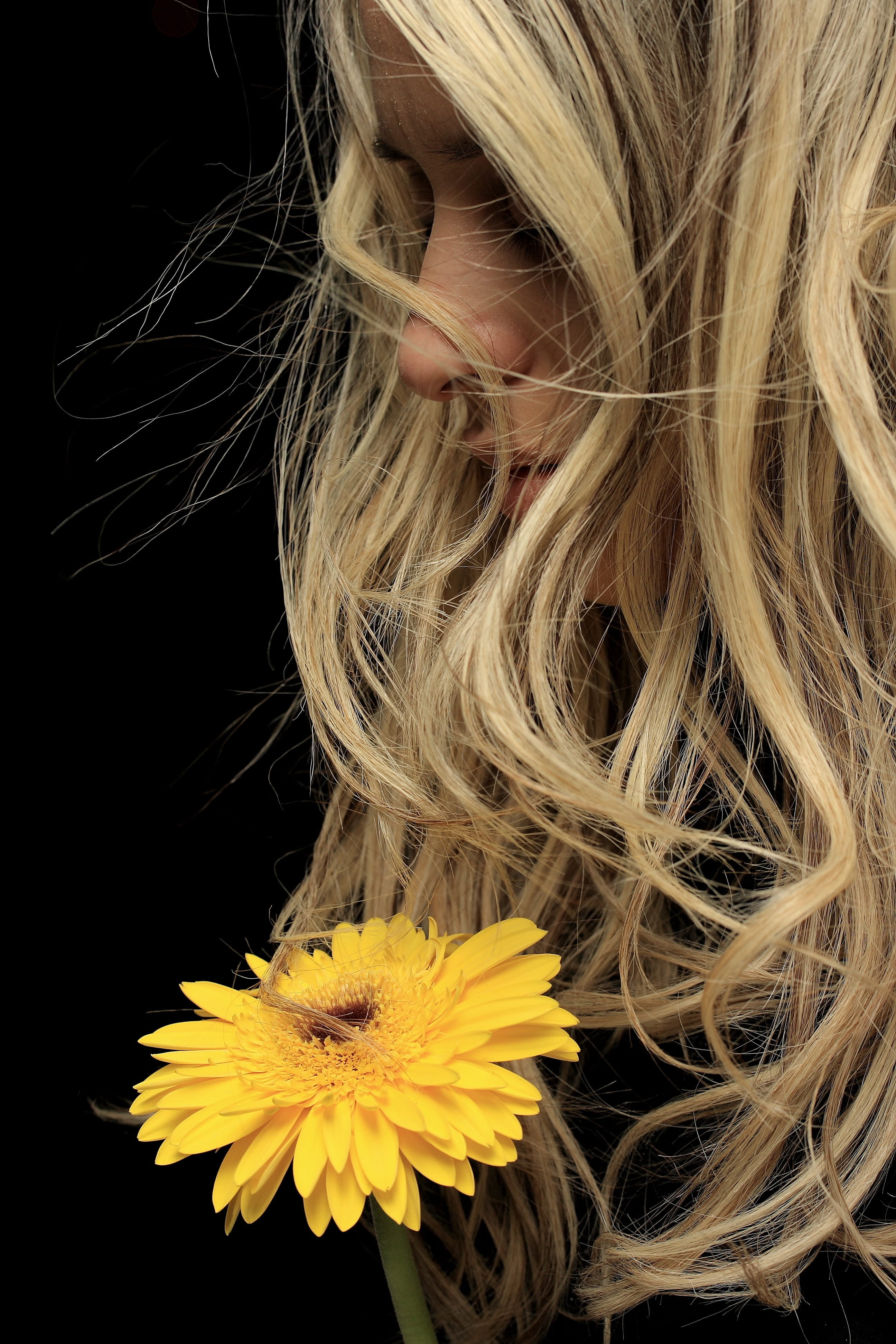 fashion, romantic, nature, flower head, one person, conceptual, fashion shoot, studio, lifestyles, close-up, flowering plant, young model, women, photo, Phone HD Wallpaper