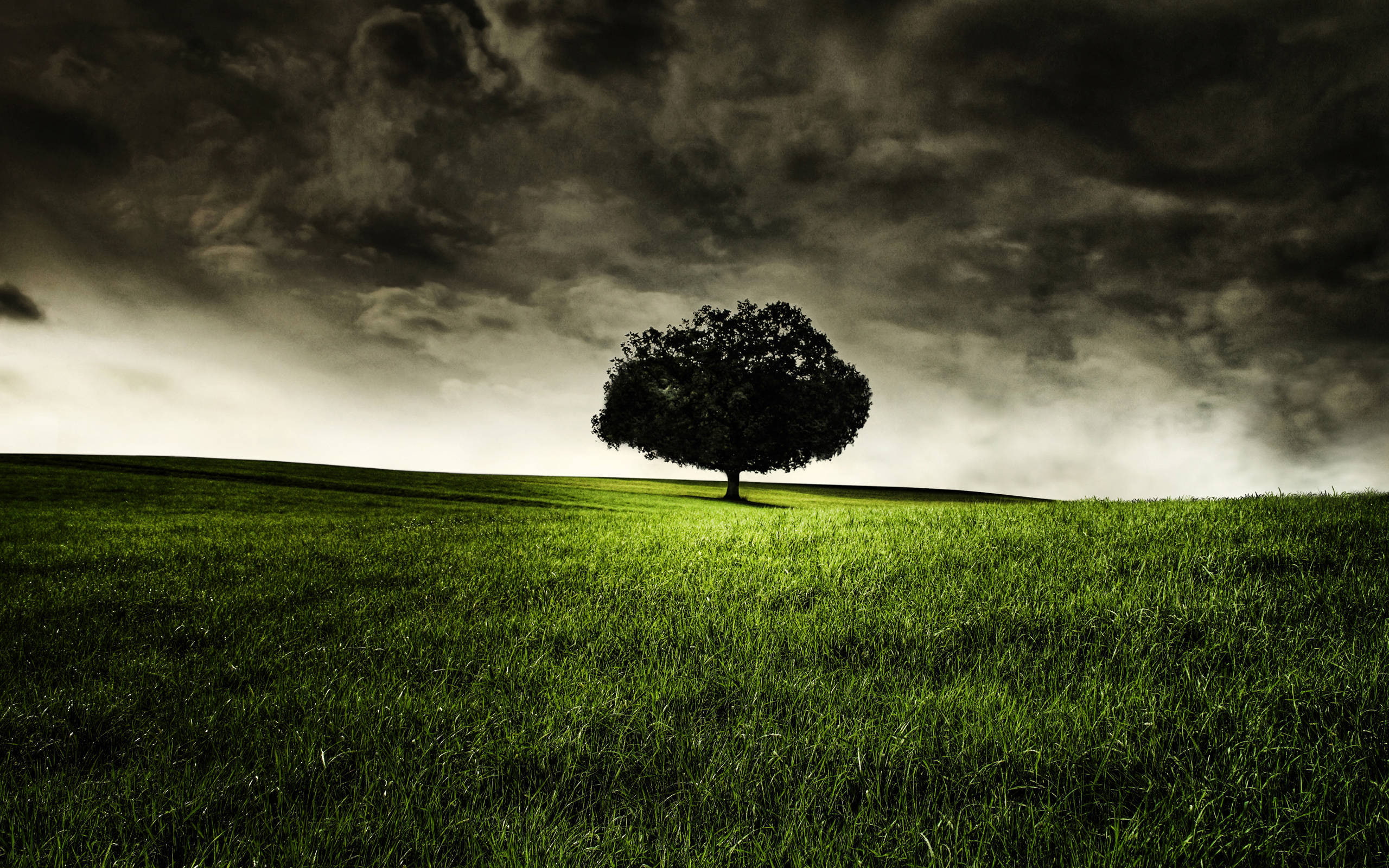 2K, dreamy and fantasy, mind, HD Wallpaper