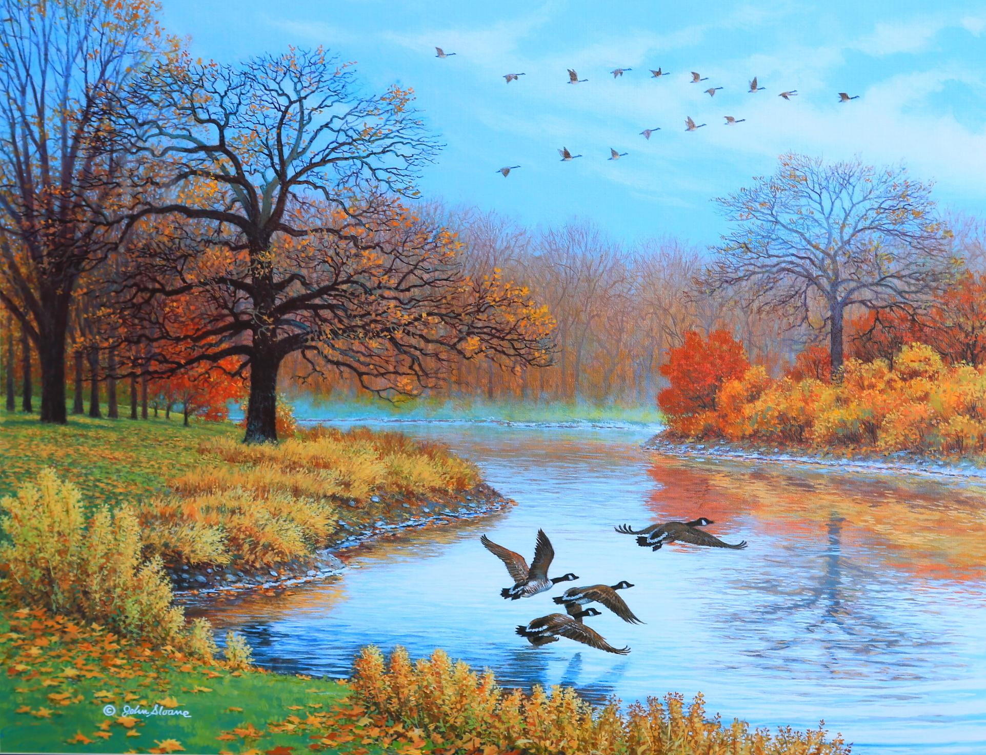 river, water, 1080P, peaceful, trees, splendor, colors, autumn, beautiful, ducks, lovely, forest, season, HD Wallpaper