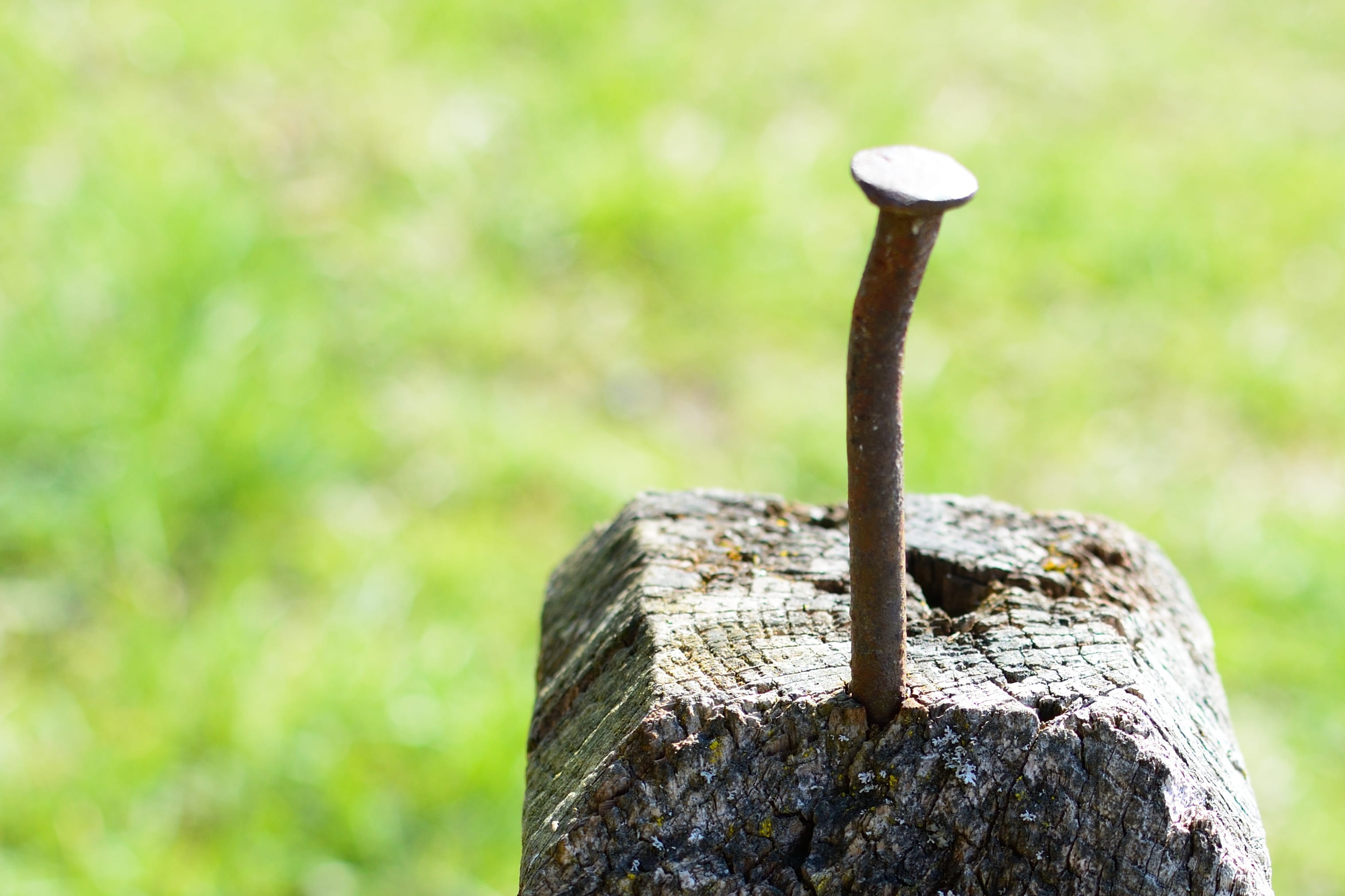 nature, textured, rusted, nail head, tree, post, Nail, close-up, crooked, trunk, bark, metal, beat up, no people, tool, brown, hammer, outdoors, wooden post, HD Wallpaper