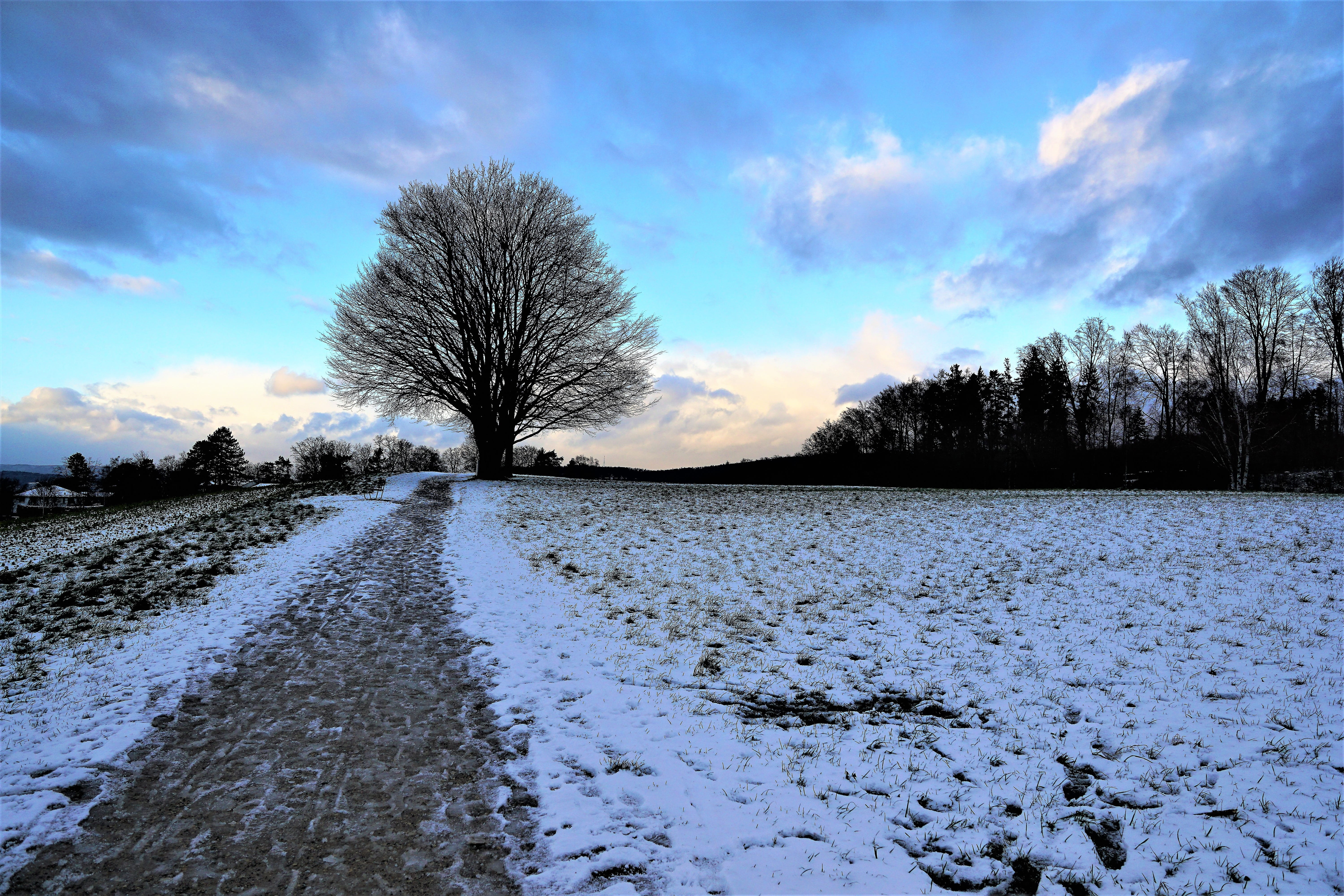 evening, cold temperature, outdoors, away, cold, road, the way forward, cloud, plant, bare tree, reflection, agriculture, travel, cloud - sky, holidays, HD Wallpaper