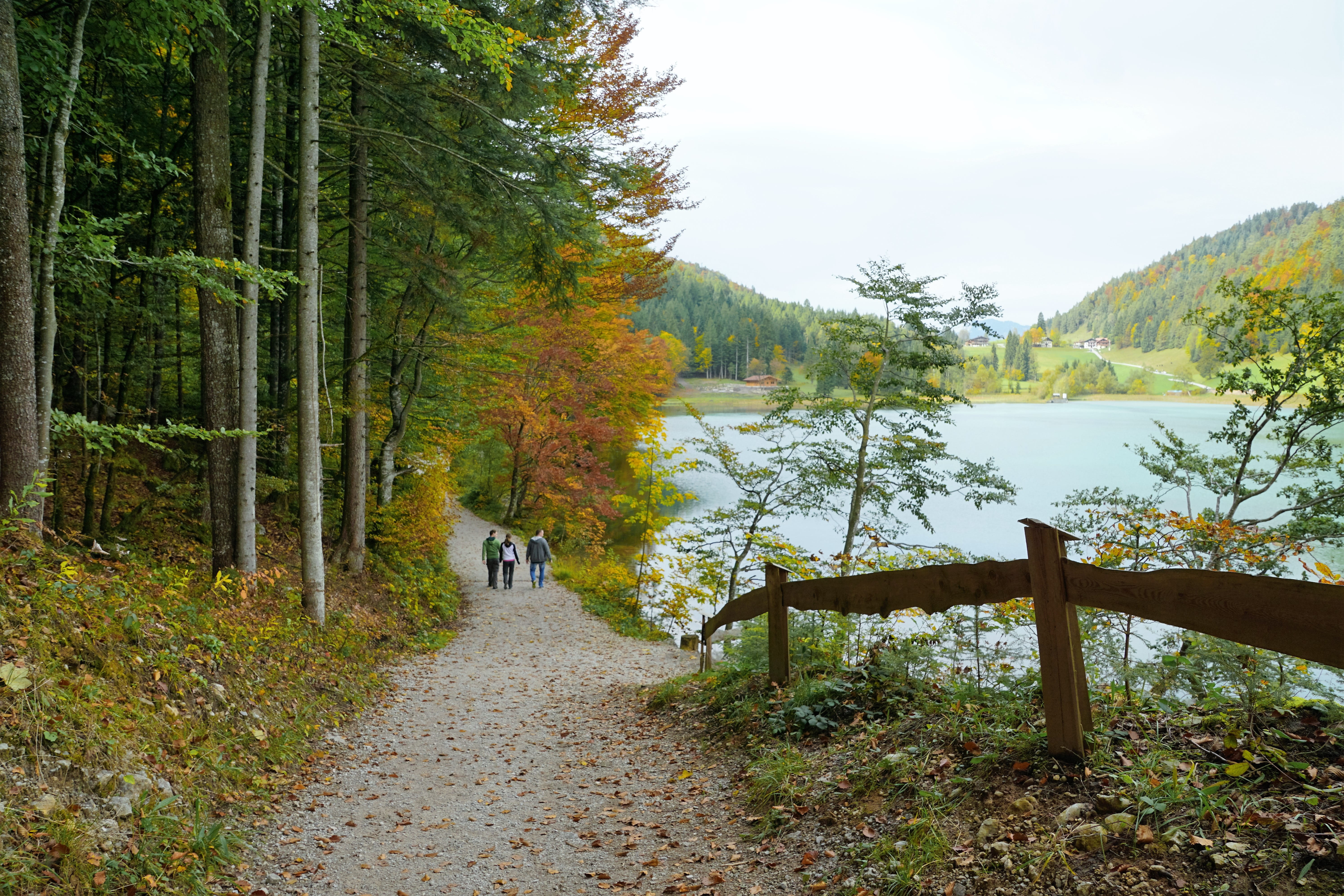 5K, luck, idyllic, panorama, autumn, tranquility, idyll, sea, background image, stanglwirt, hike, millstatt, weather, coast, direction, land, green, hill, HD Wallpaper