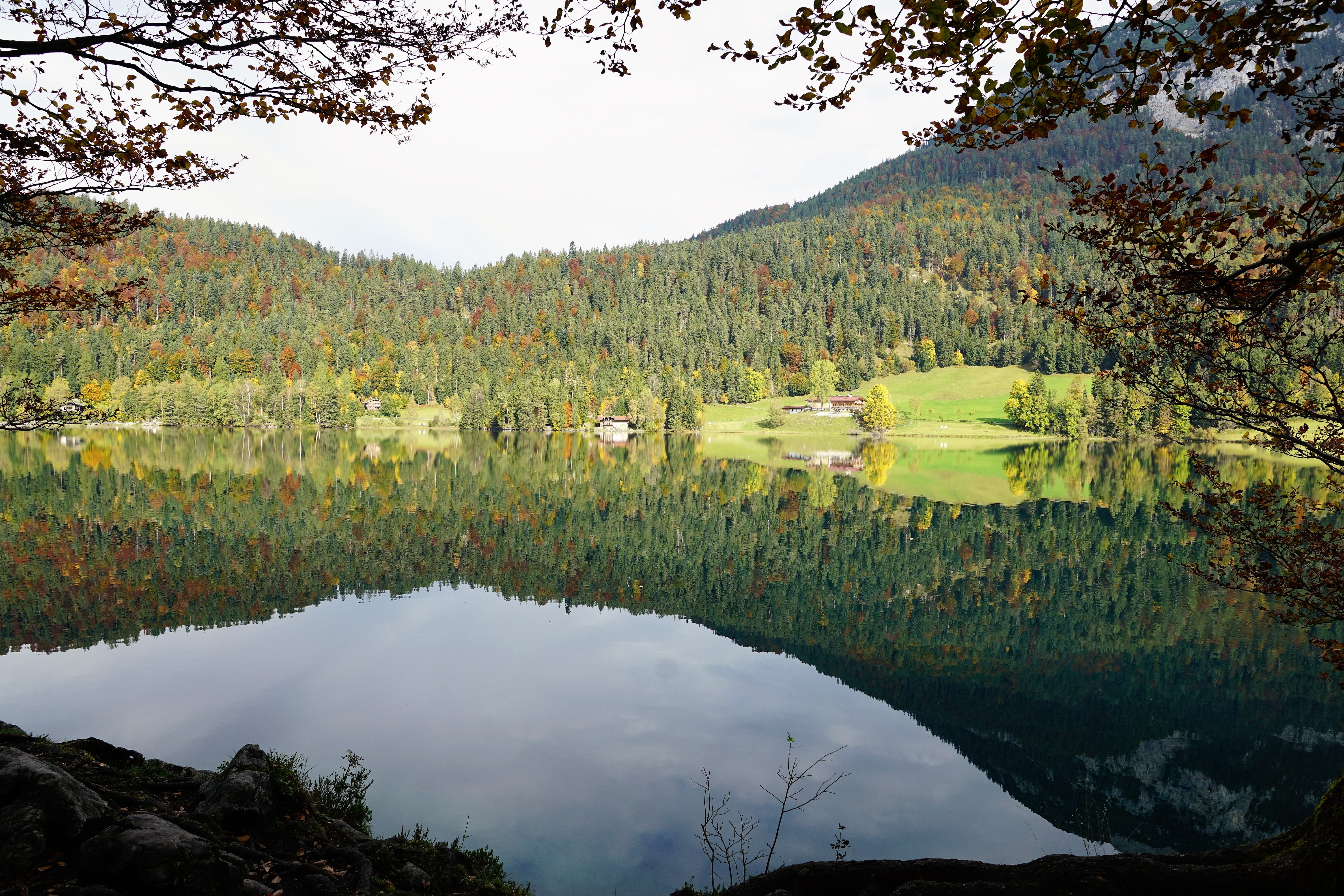 wilderkaiser, behind steiner, swim, clouds, austria, outdoors, day, pine woodland, bergsee, 5K, pine tree, scenics - nature, hintersteinersee lake, coniferous tree, HD Wallpaper