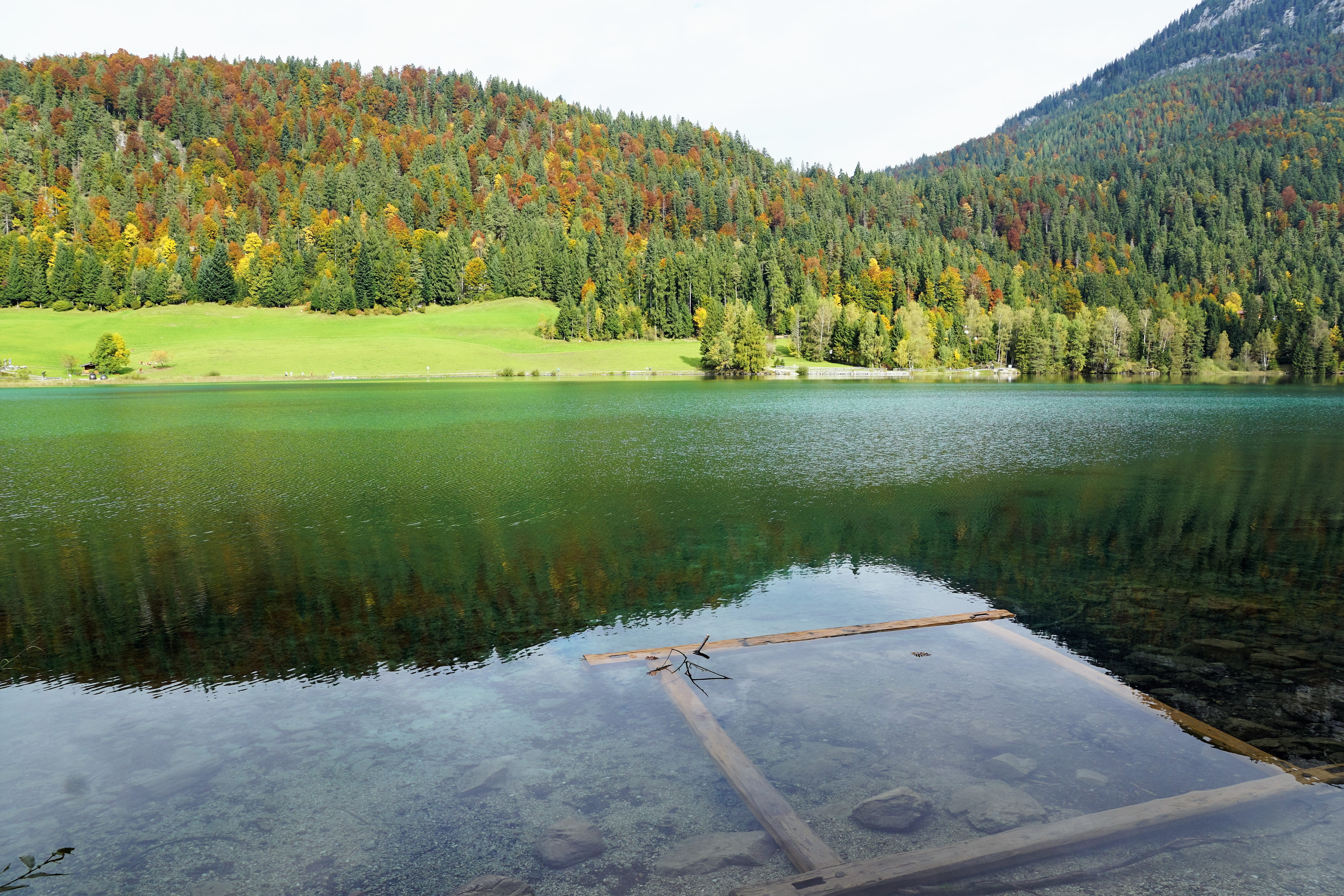 forest, reflection, rest, remote, turquoise, hill, coniferous tree, kaiser mountains, outdoors, bank, hike, ellmau, mountains, mountain landscape, holiday, HD Wallpaper