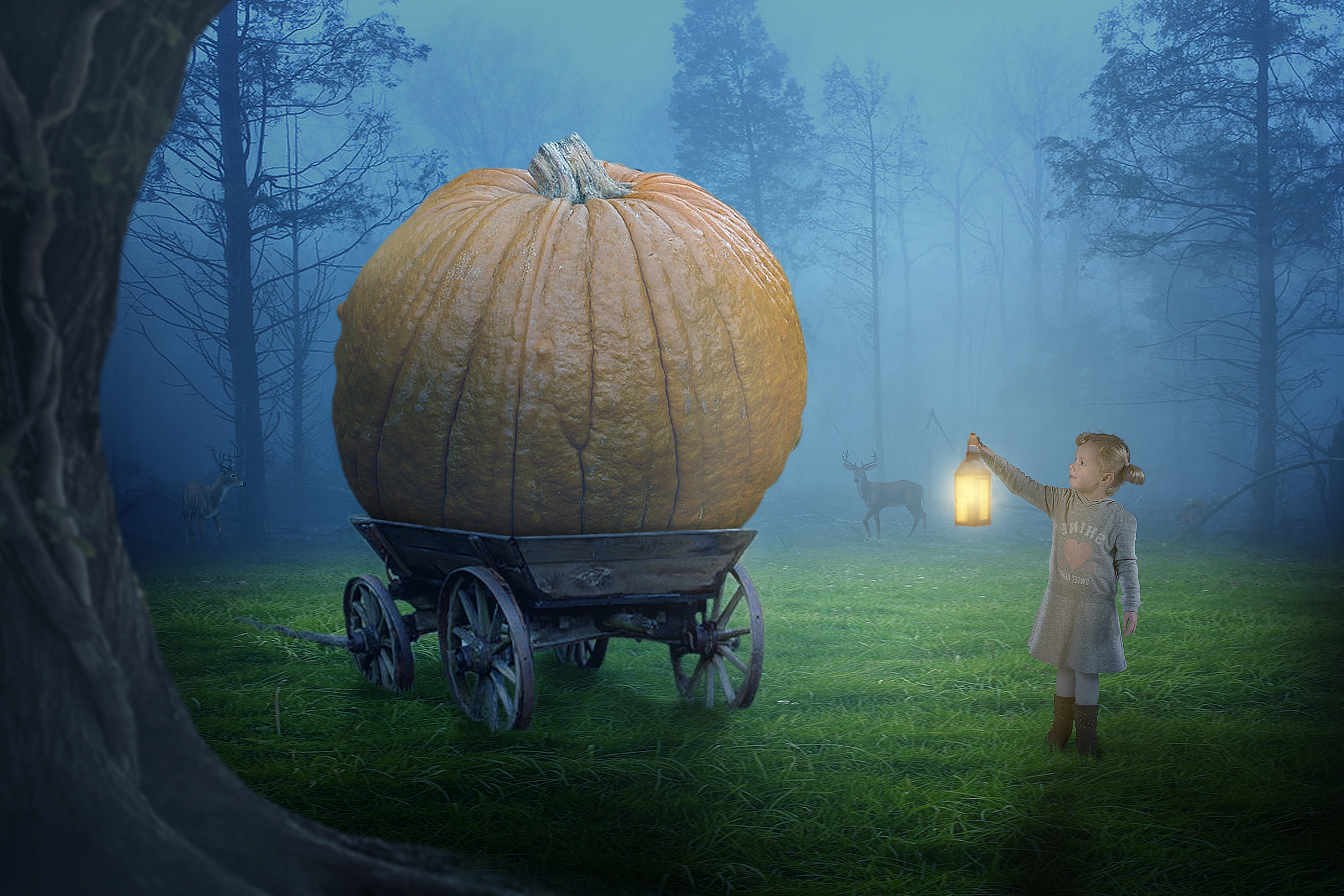 color, sky, dawn, lamp, emilia, child, photo montage, texture, day, panorama, composing, outdoors, straw car, self-conscious, full length, illustration, HD Wallpaper