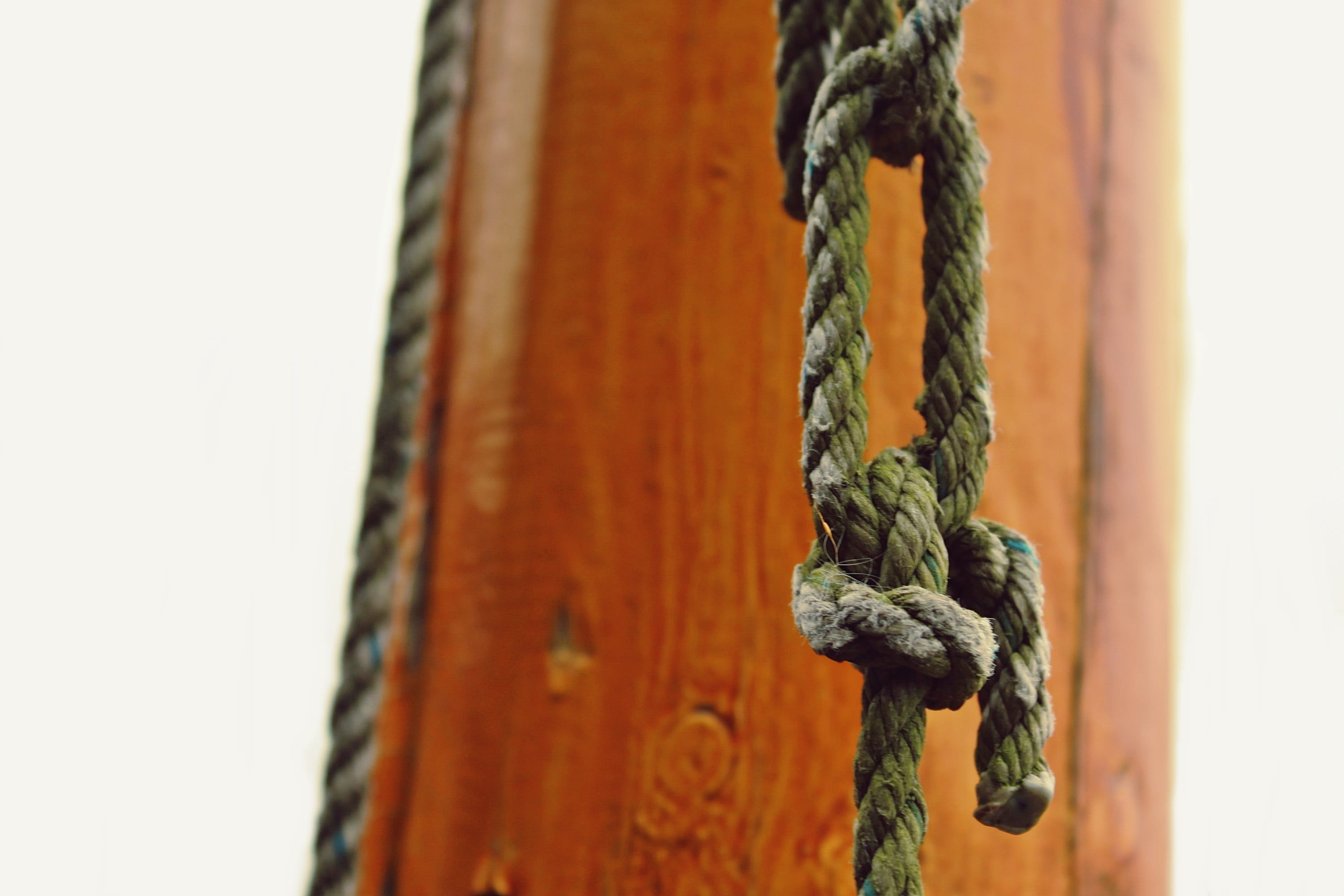 cord, weathered, wood - material, strand, fixing, knot, Rope, Leash, woven, no people, connection, Dew, twisted ropes, post, tied up, wooden post, close-up, HD Wallpaper