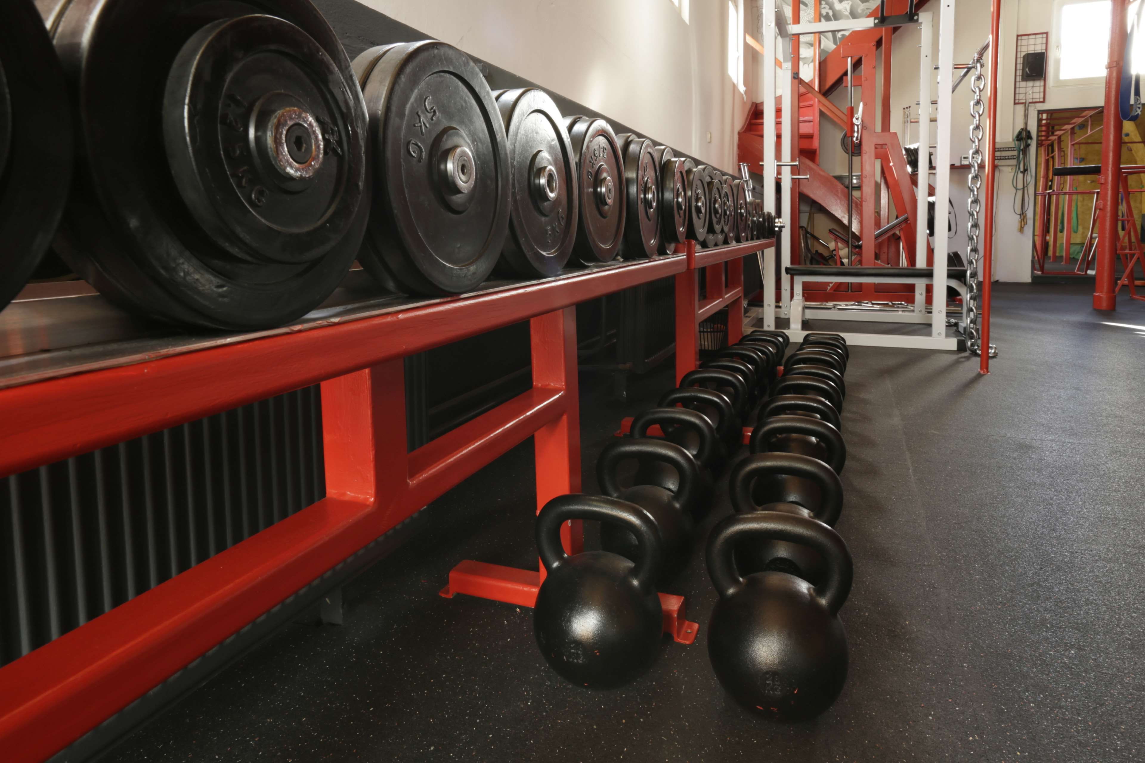 close-up, no people, equipment, dumbbell, power sports, large group of objects, muscle training, side by side, weight, fit, movement, indoors, in a row, HD Wallpaper