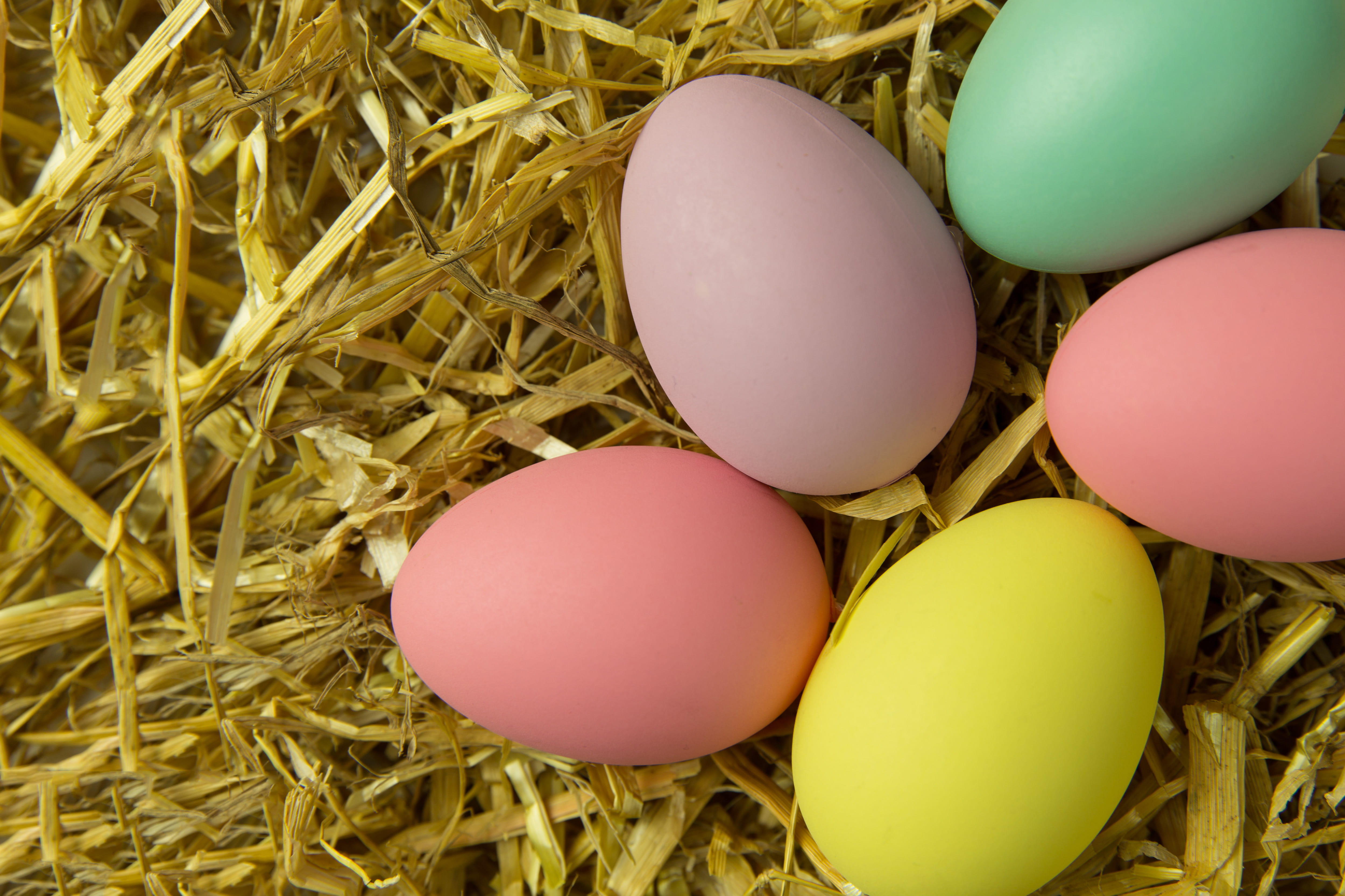 animal Nest, grass, nature, easter, vulnerability, new life, easter egg, yellow, group of objects, 4K, food and drink, eggs, cultures, Overhead, colourful, HD Wallpaper