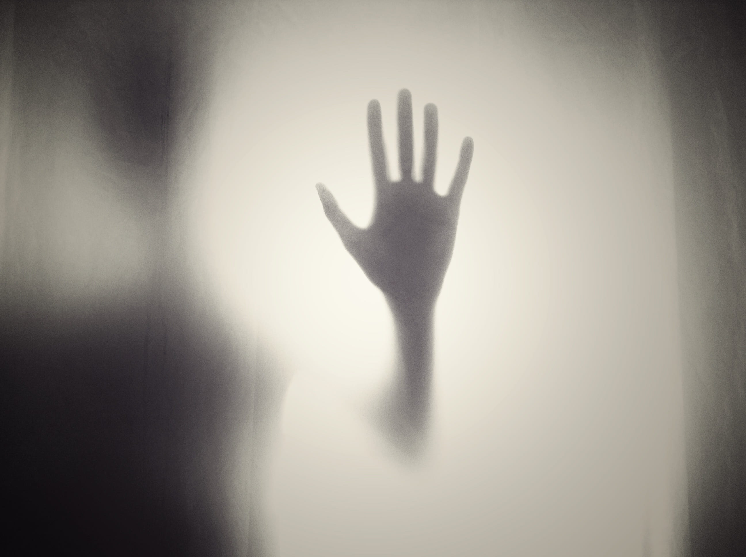 finger, silhouette, indoors, aggression, creepy, spooky, one person, body part, shape, fear, human, 2K, shadow, hand, human finger, white, halloween, back lit, HD Wallpaper
