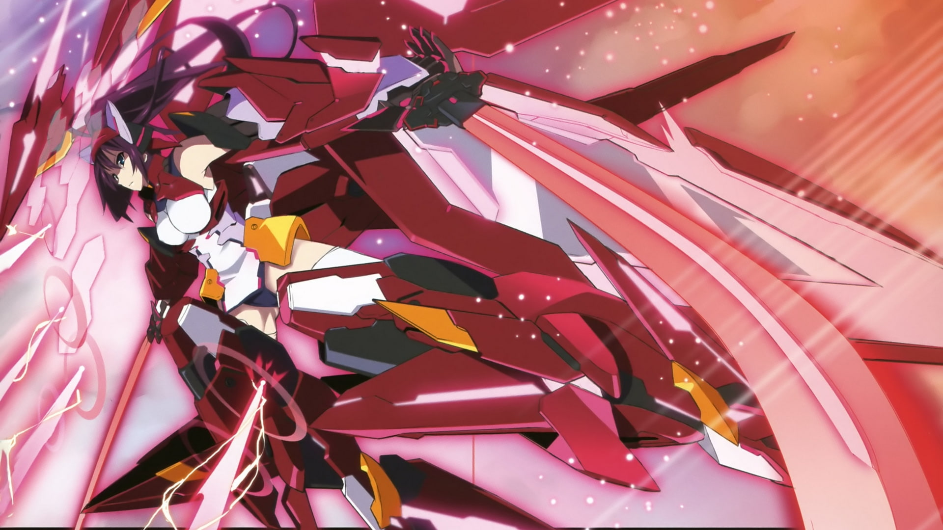 mecha, infinite, houki, 1080P, stratos, shinonono, musume, HD Wallpaper