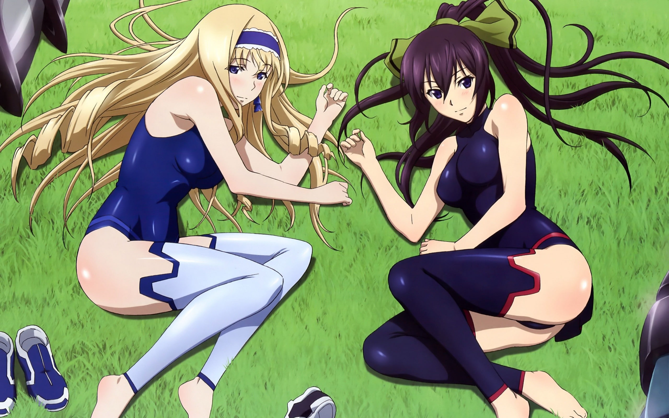 cecilia, blondes, shinonono, bodysuits, alcott, infinite, houki, stratos, 2K, girls, anime, HD Wallpaper