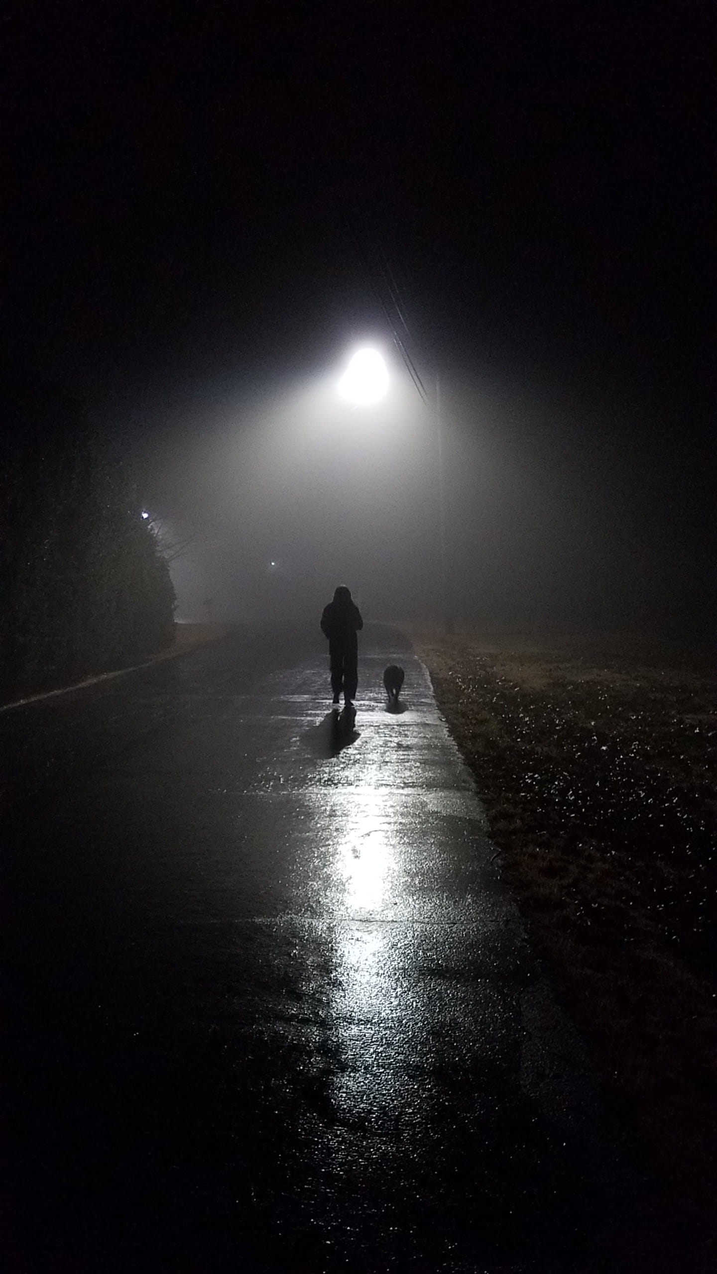 nature, lifestyles, the way forward, walking, horror, black, men, solitude, mist, mystery, transportation, road, sullen, silhouette, black Color, Mist, Phone HD Wallpaper