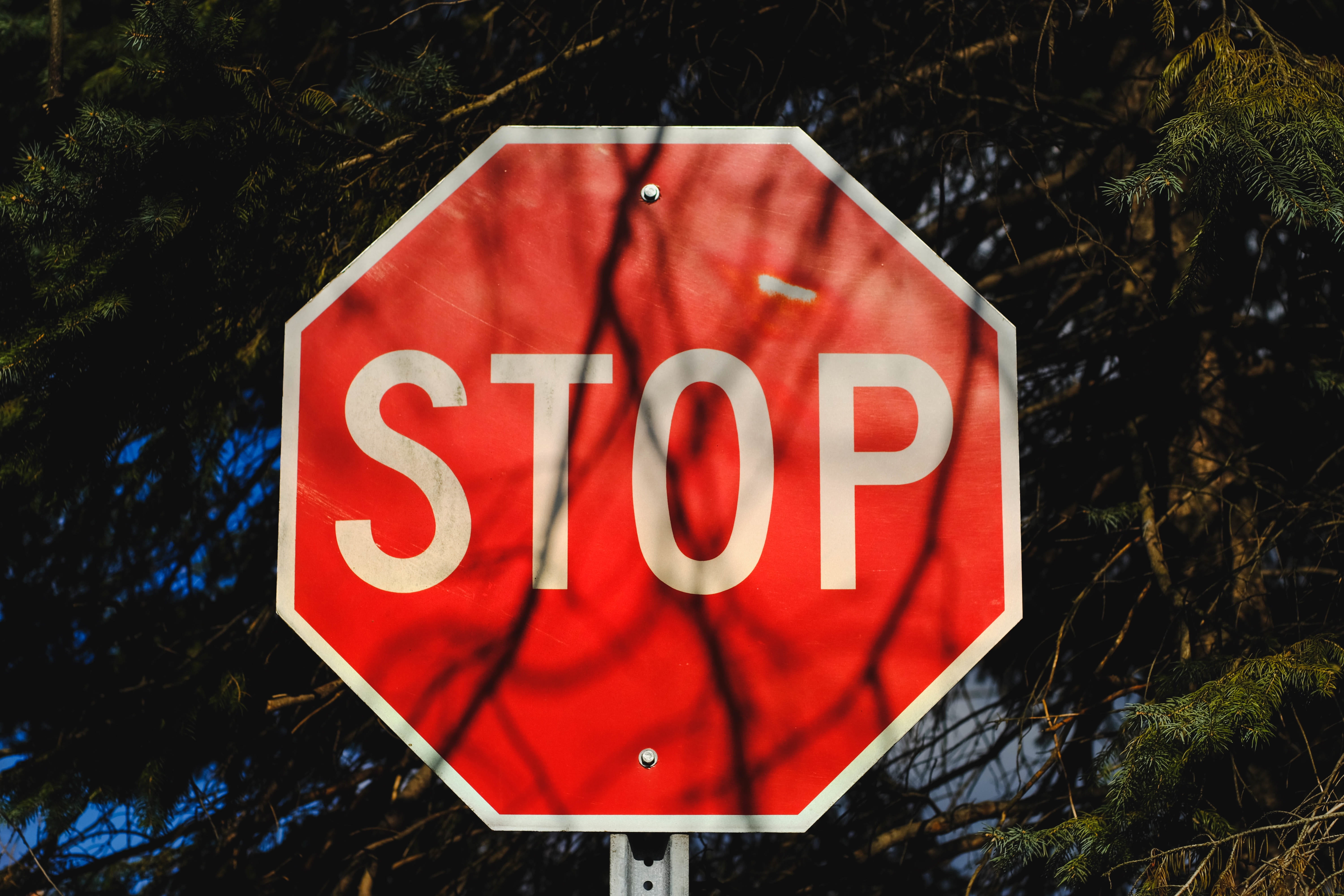 Stop, guidance, close-up, no people, message, plant, nature, capital letter, street, outdoors, 5K, sign, road, communication, white, information sign, HD Wallpaper