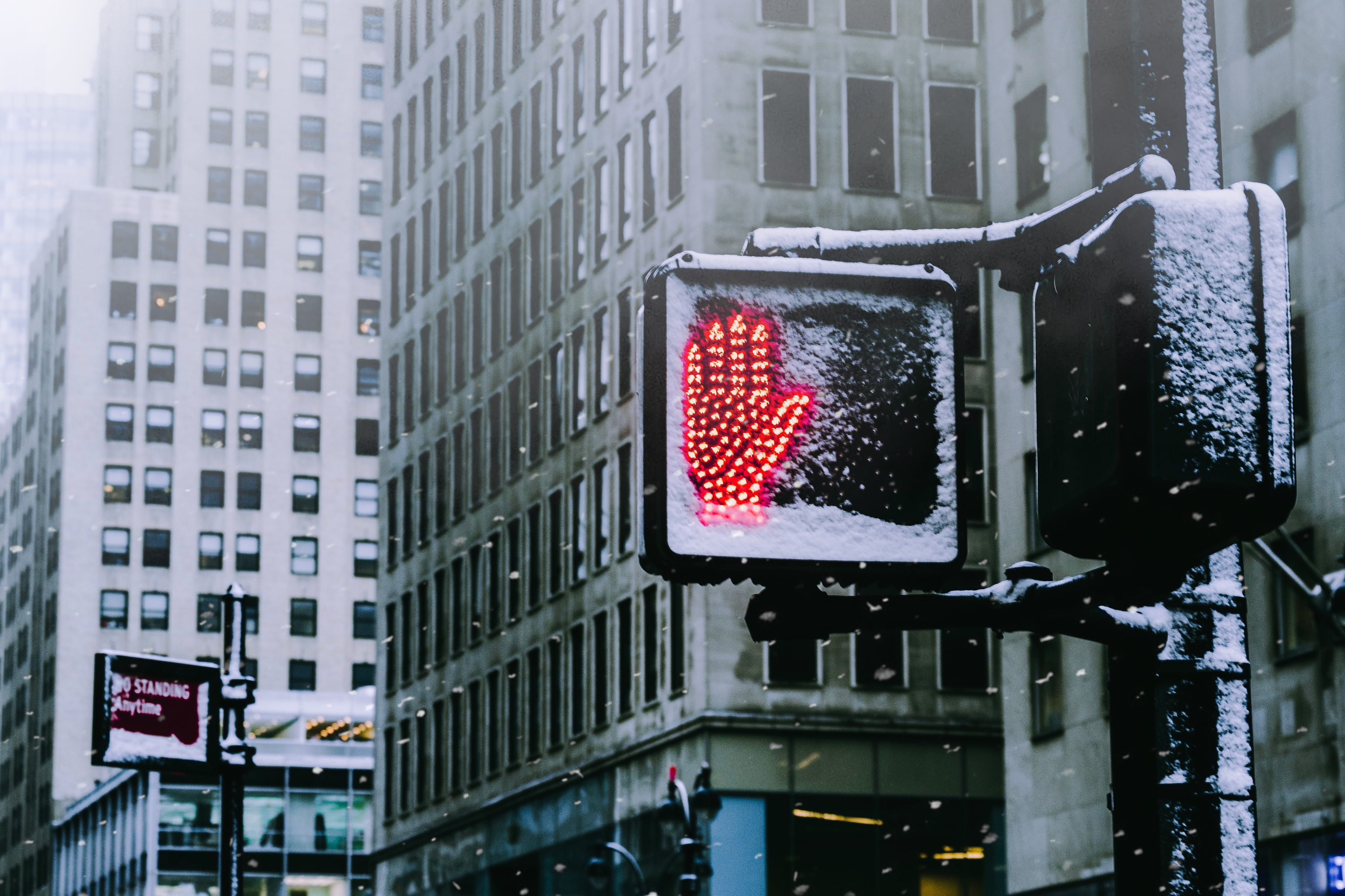 4K, light, pedestrian, red, new york, showing, red light, city, advertisement, cross walk, outdoors, illuminated, sign, day, city life, billboard, stop, HD Wallpaper