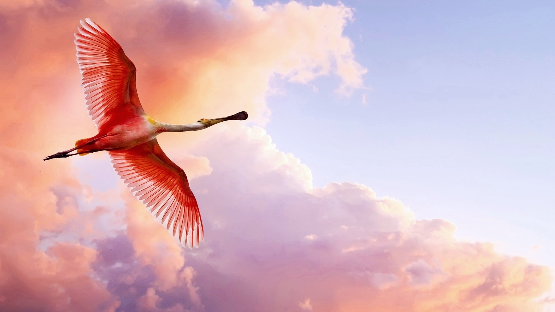 happiness, heaven, person, fly, sky, animals, cloud, people, sunny, 1080P, outdoors, clouds, cloudy, air, happy, landscape, sun, man, summer, bright, space, HD Wallpaper