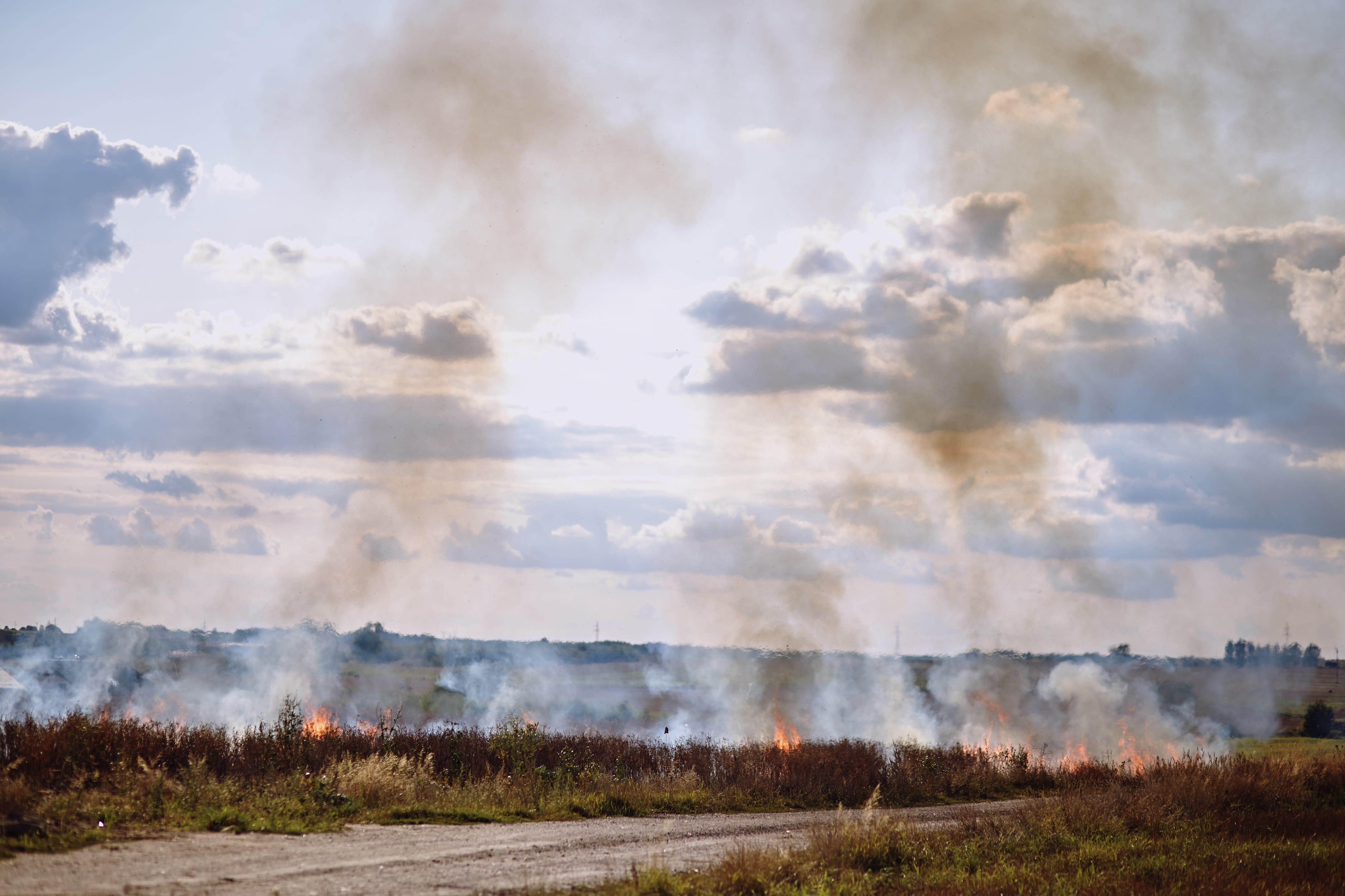 the destruction of the, field, anxiety, land, fire, tranquil scene, tranquility, fire department, smoke - physical structure, firefighter, scenics - nature, HD Wallpaper