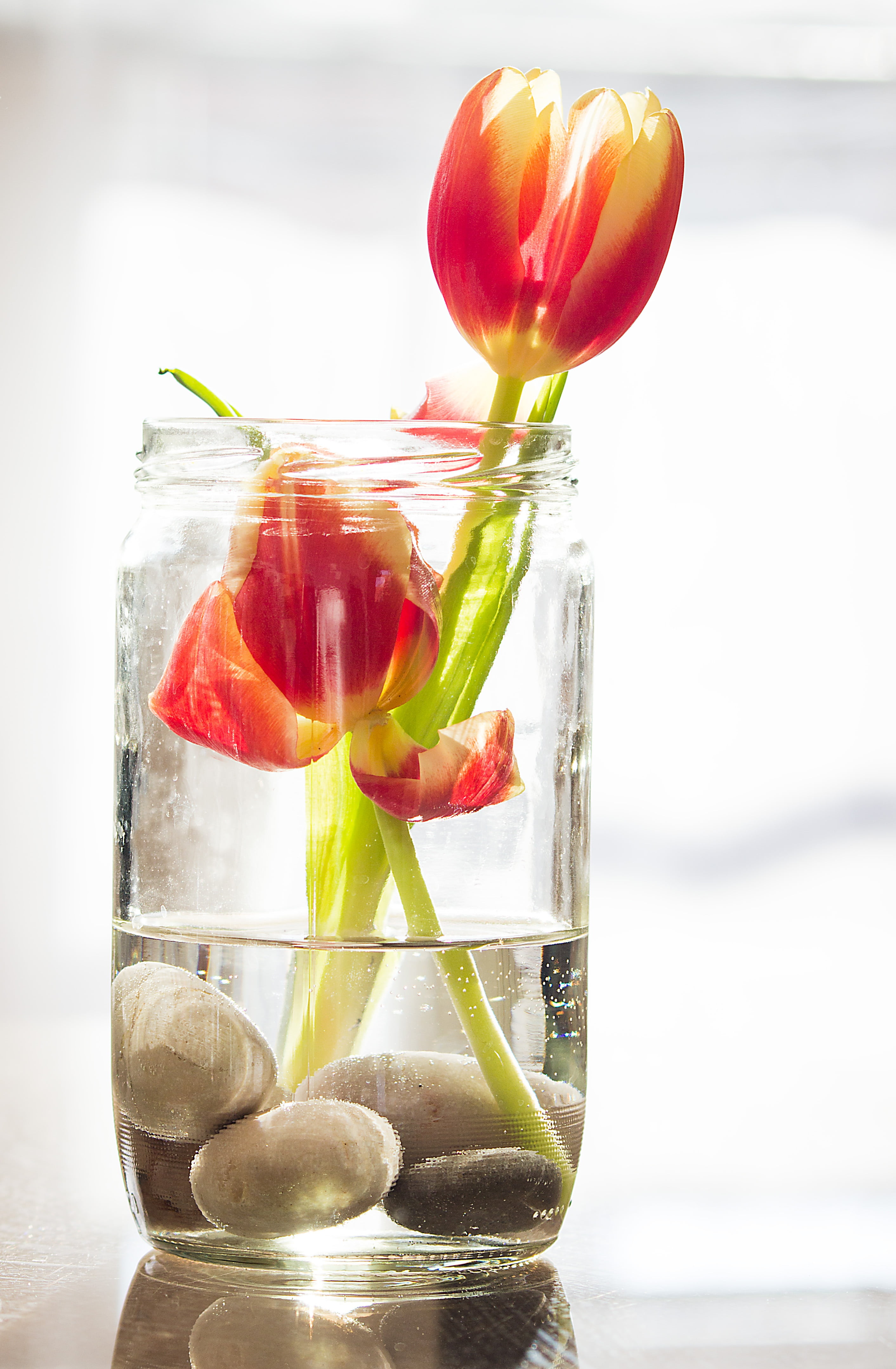 glass - material, fruit, natural, food and drink, 4K, refreshment, no people, freshness, water, jar, meadow, food, flower, focus on foreground, Phone HD Wallpaper
