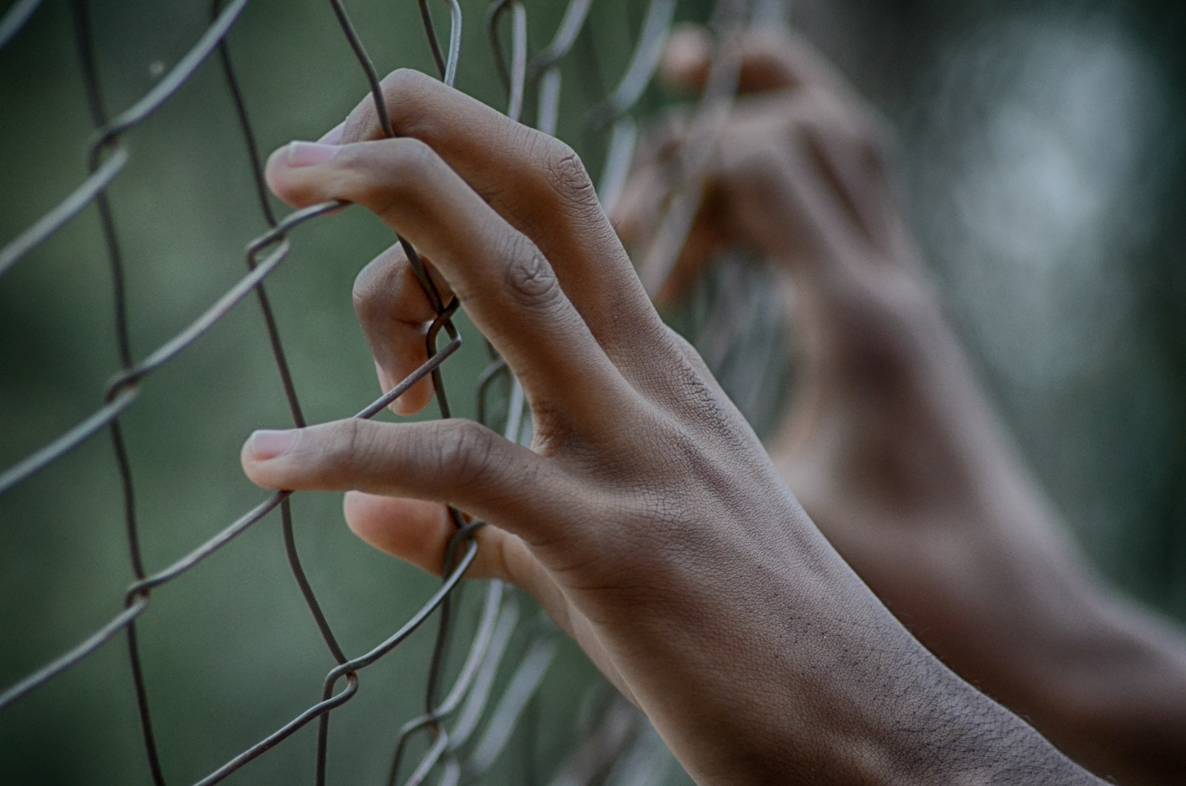 gray, hand, one person, people, technology, human hand, prison, punishment, young adult, holding, wire, security, person, 4K, wire mesh, metal, outdoors, HD Wallpaper
