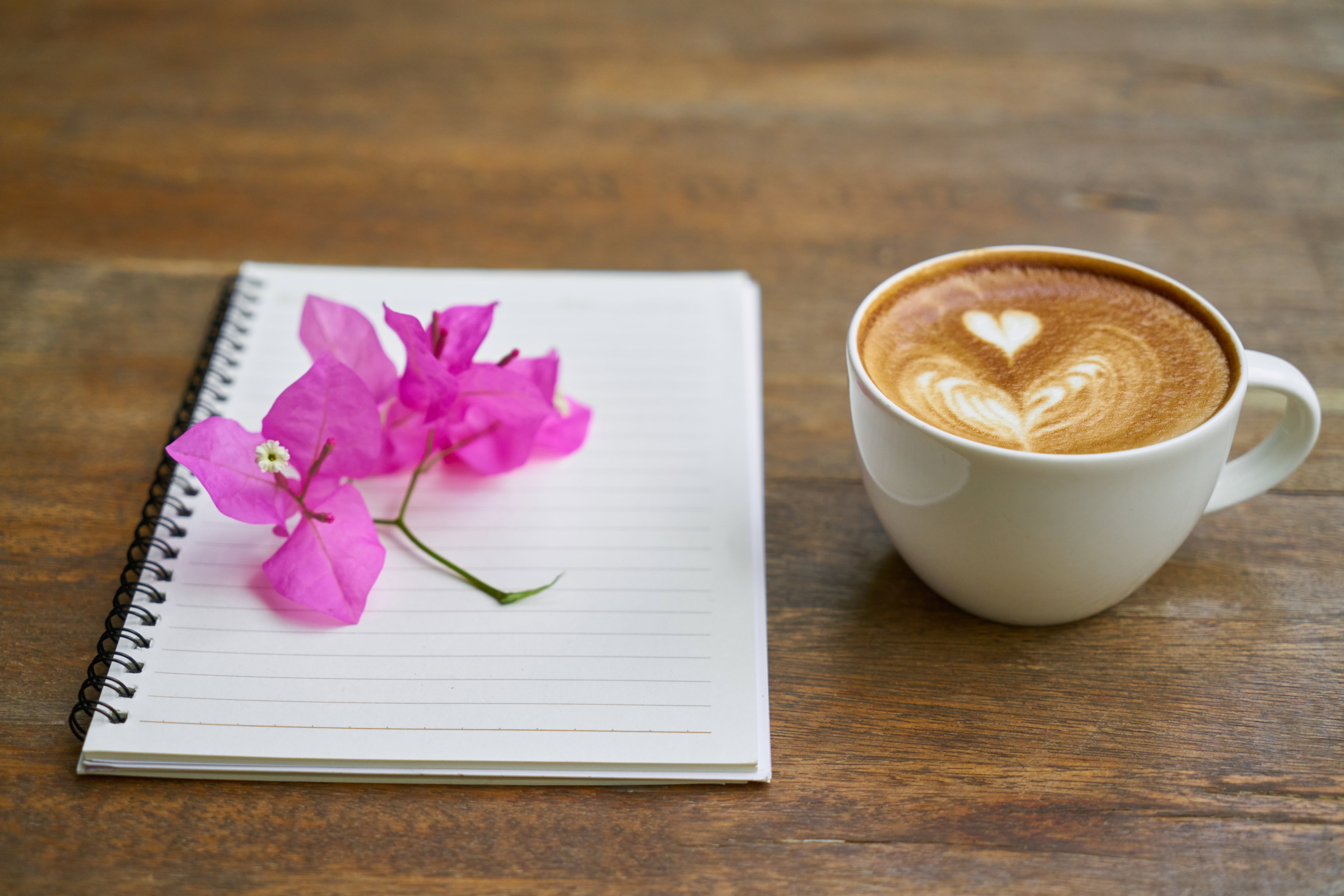 latte, the work, restaurant, notebook, manuscript, to write, cappuccino, paper, flower head, frothy drink, pink color, work, cup, flowering plant, food and drink, HD Wallpaper