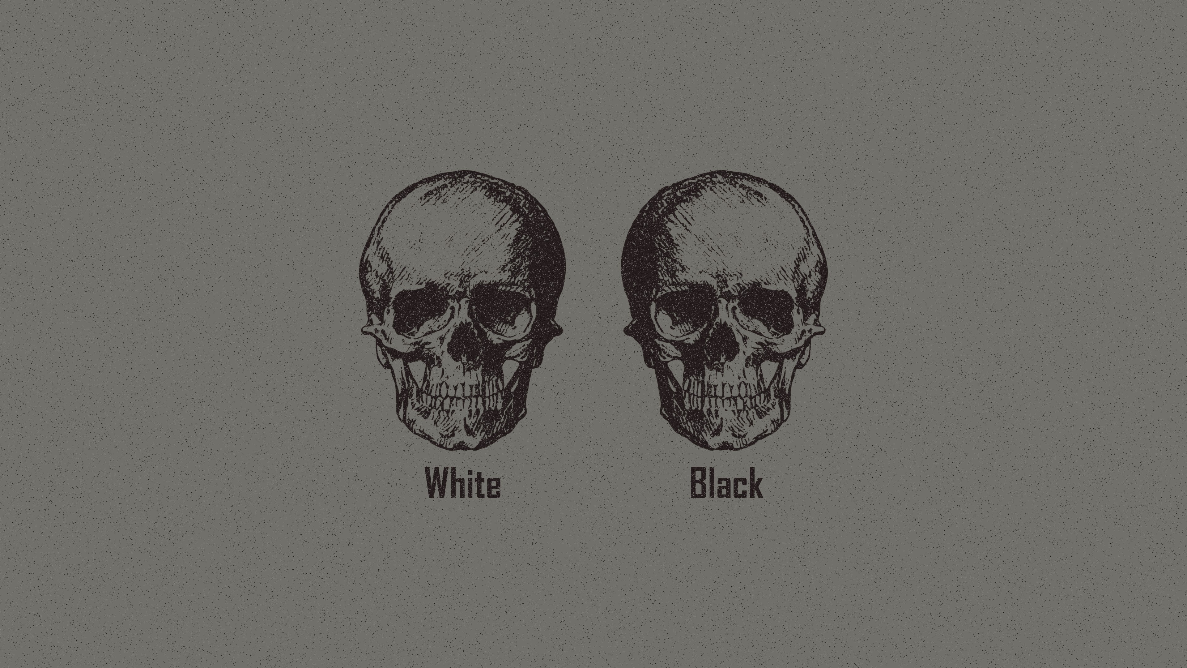 monochrome, 4K, skull, Logic, minimalism, Racism, HD Wallpaper