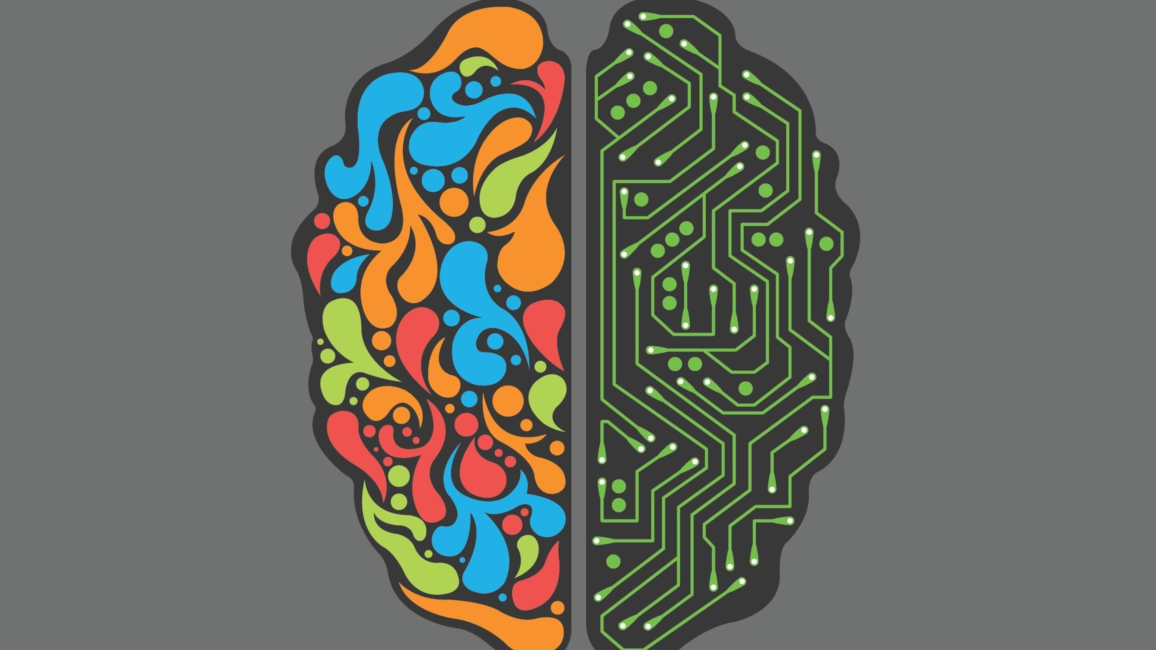 healthcare and medicine, creativity, vibrant color, indoors, people, close-up, multi colored, human brain, pattern, green color, unhealthy eating, black background, HD Wallpaper