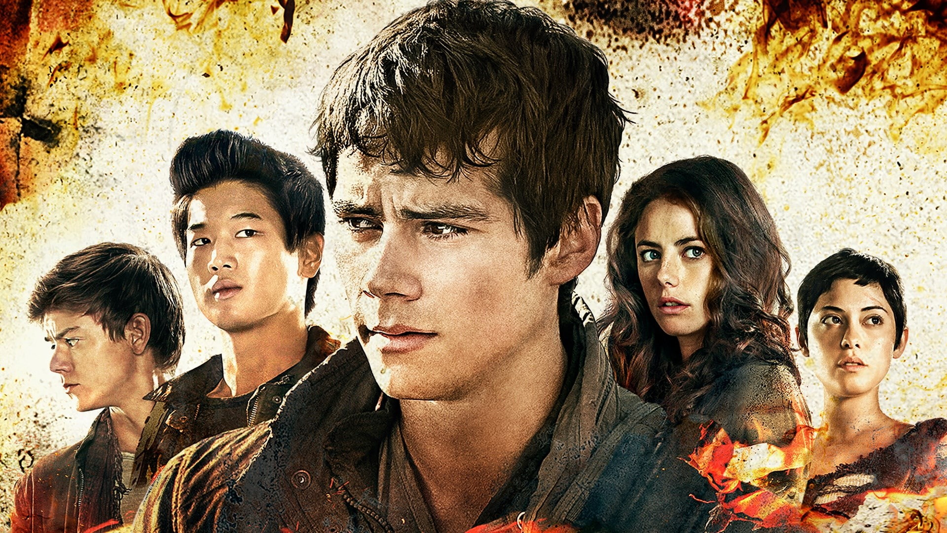 standing, teenager, men, group of people, portrait, wall - building feature, maze runner the scorch trials, looking, lifestyles, headshot, adolescence, HD Wallpaper
