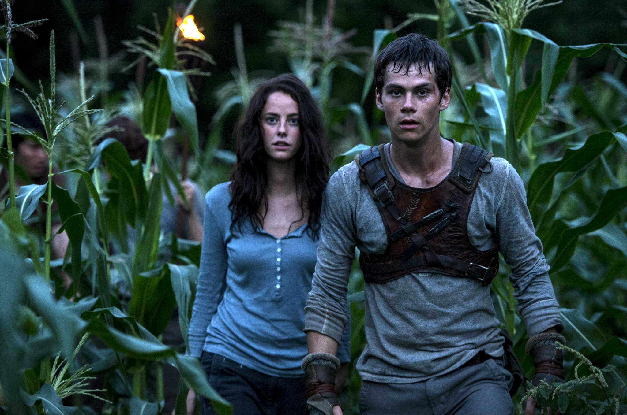 runner, mystery, 1080P, sci fi, maze, thriller, action, HD Wallpaper