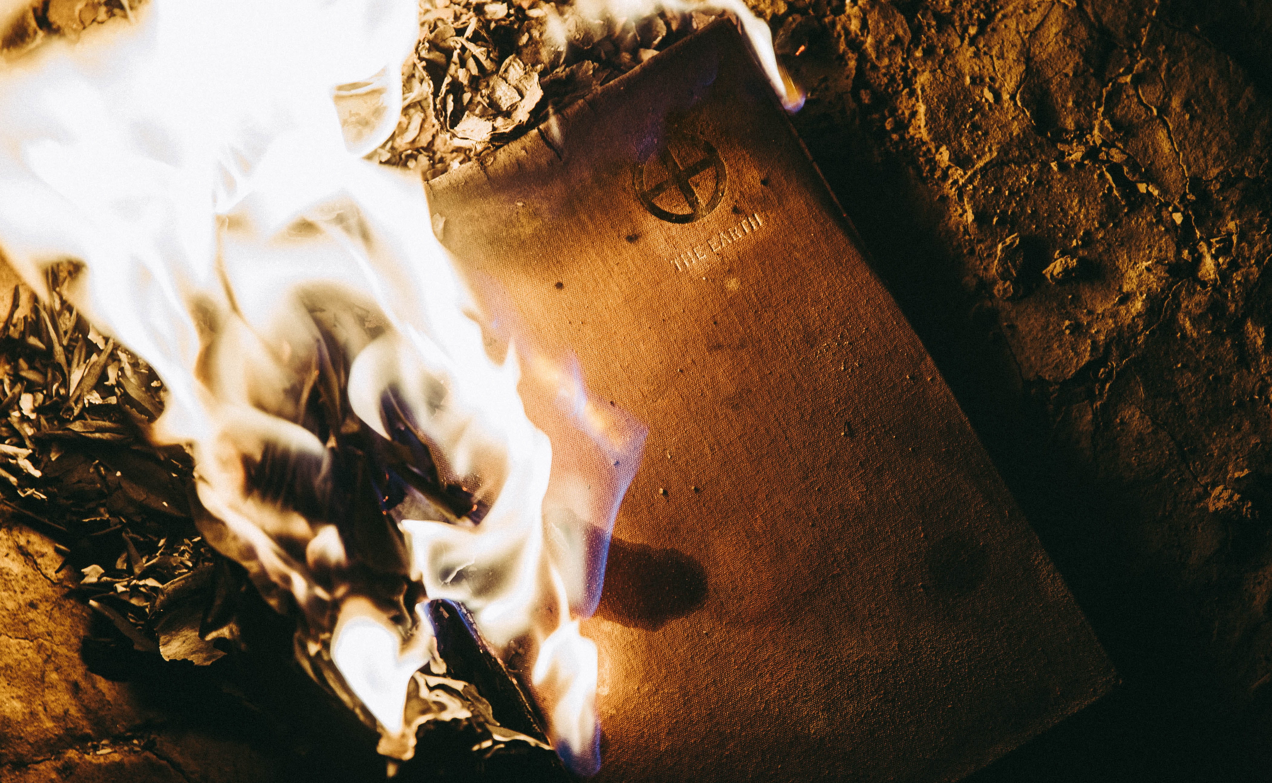 no people, fire - natural phenomenon, bonfire, dementia, animal, the earth, creative, leisure activities, conflict, camping, motion, animals in the wild, HD Wallpaper