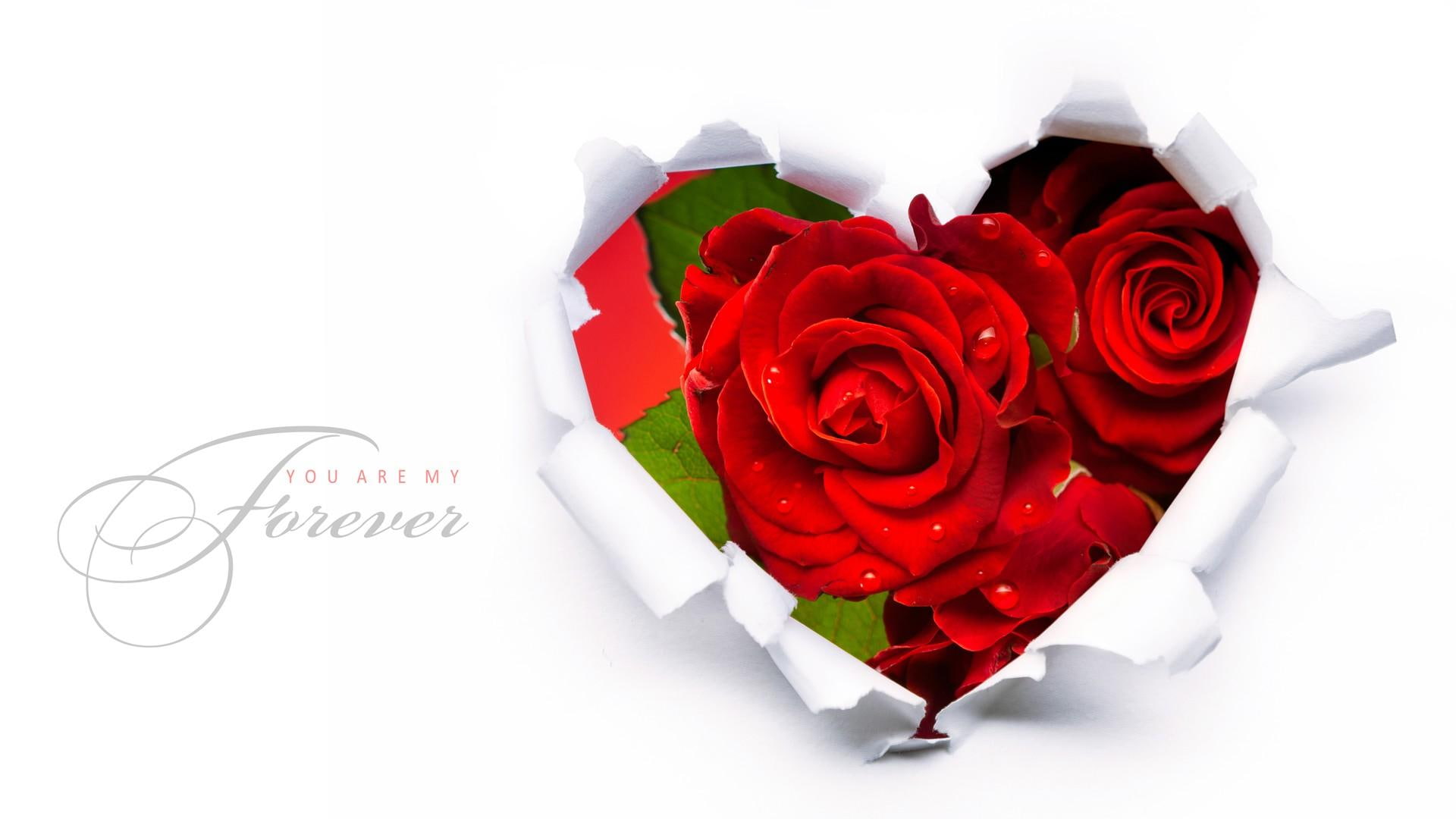 roses, forever, heart, paper, nature and lands, simple, red, valentines day, fleurs, flowers, abstract, 1080P, february, HD Wallpaper