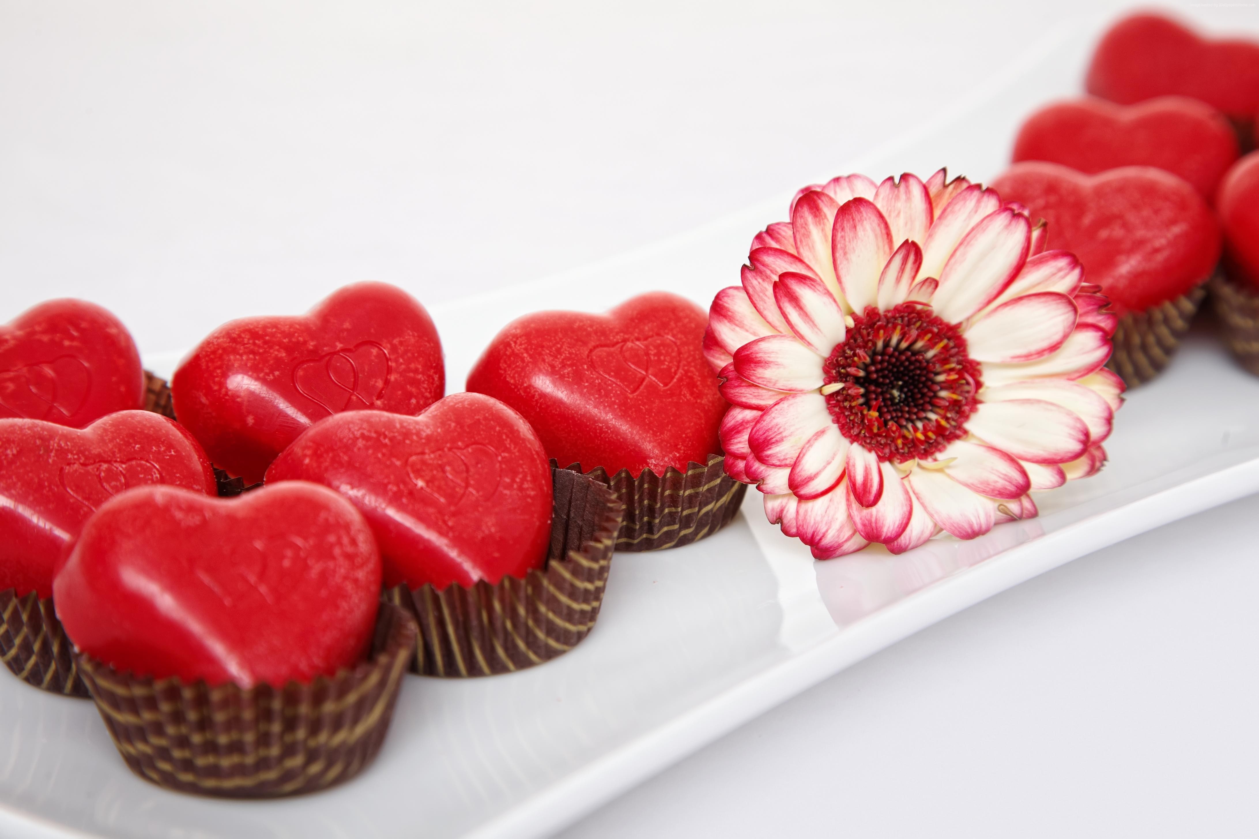 hearts, chocolate, candy, Valentines Day, chrysanthemum, 4K, love, flowers, February 14, HD Wallpaper