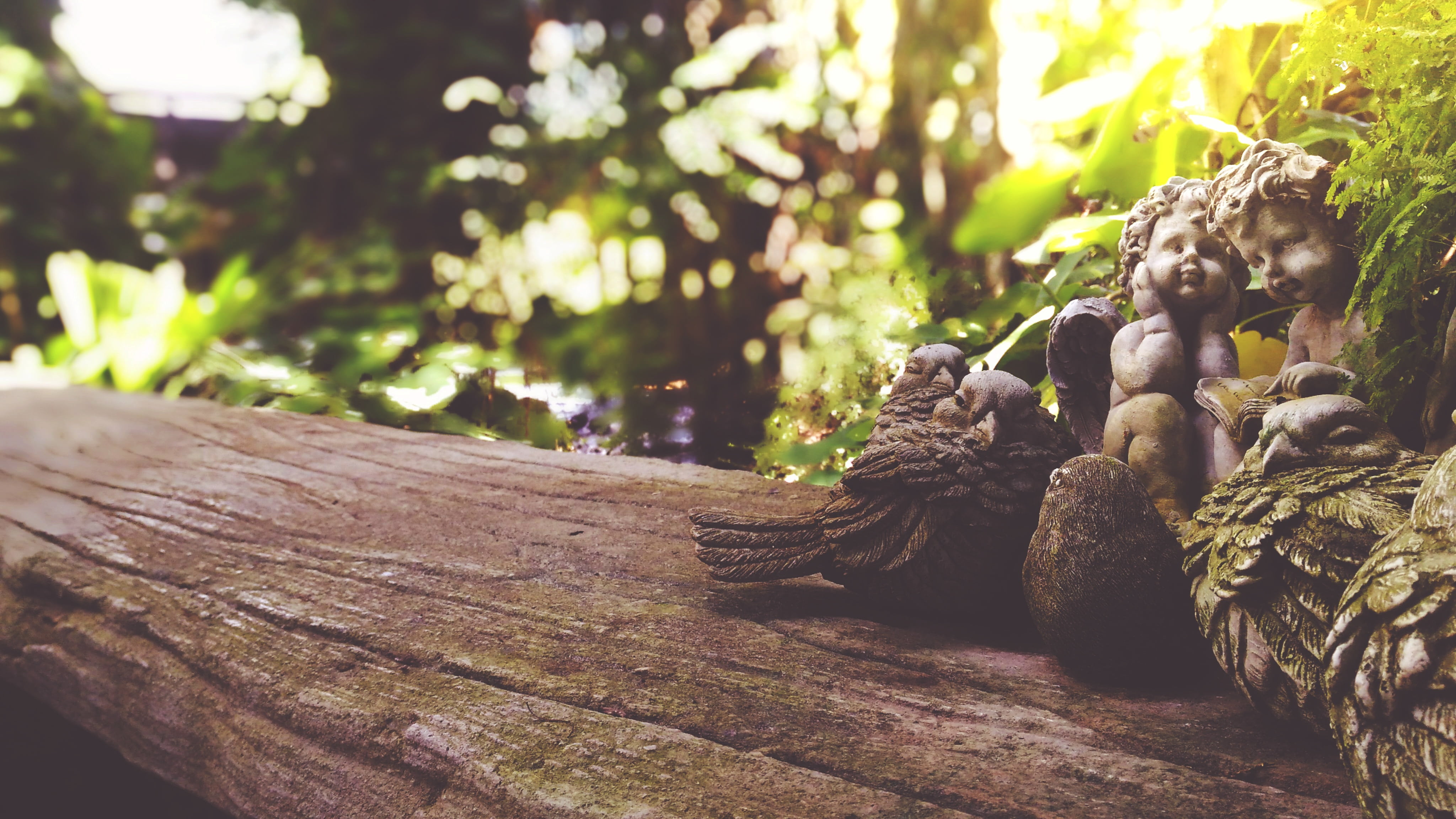 human representation, wood, outdoors, representation, plant, creativity, table, trunk, sculpture, forest, art and craft, selective focus, statue, tree trunk, HD Wallpaper