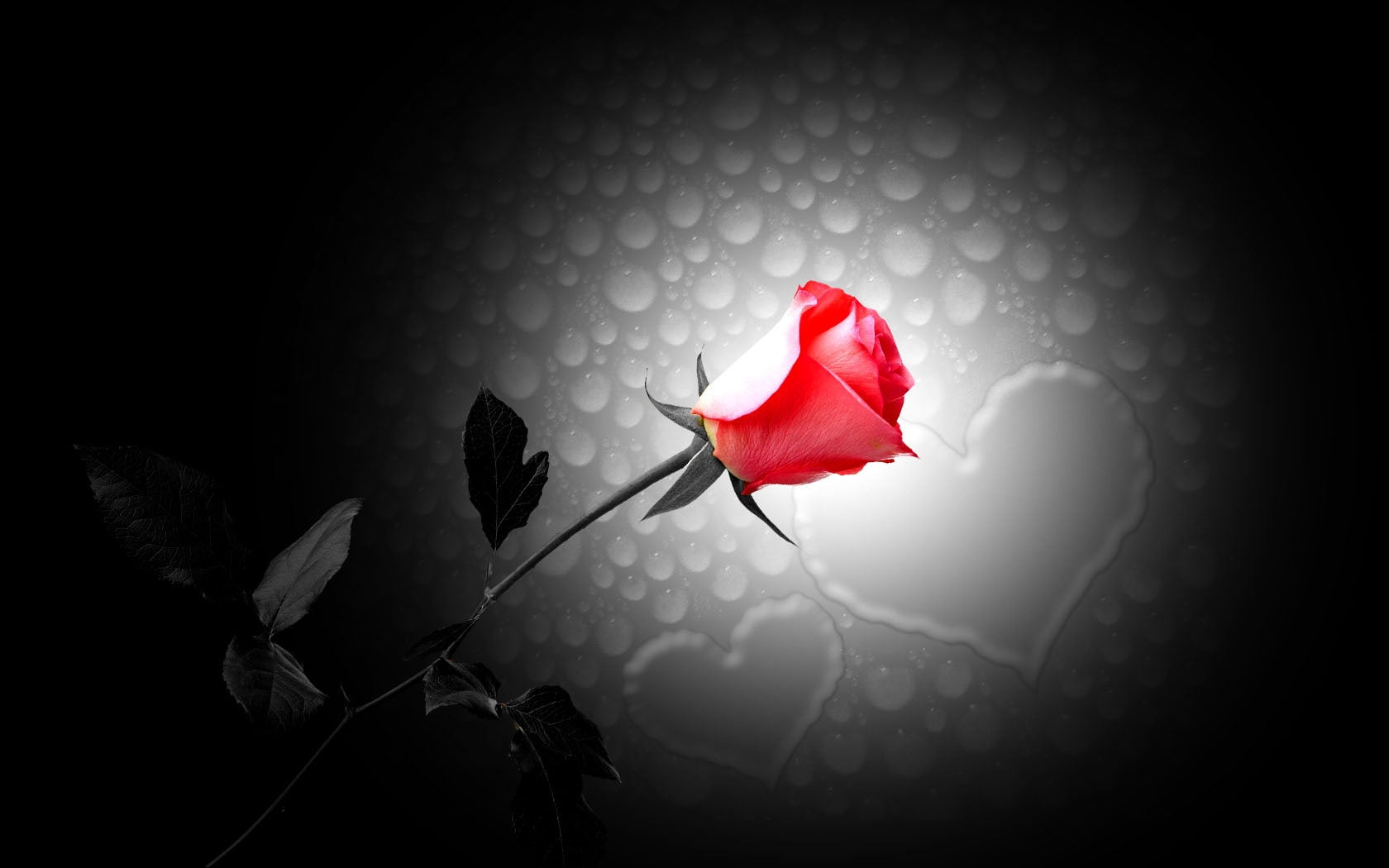 black, hearts, hd, red, rose, 720P, flowers, abstract, HD Wallpaper