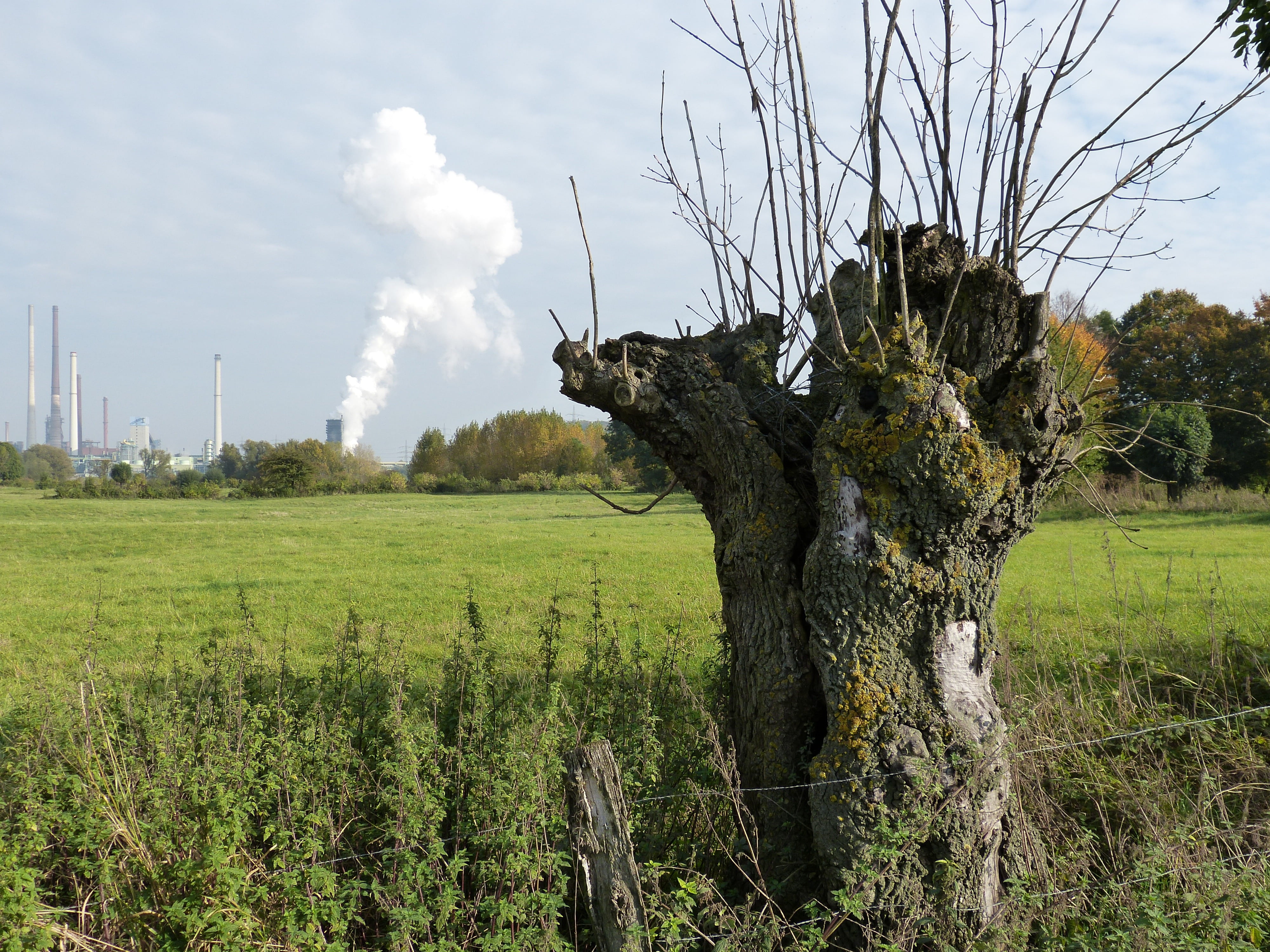 meadow, cloud - sky, landscape, green color, pasture, pollution, smoke, power plant, tree trunk, growth, nature, beauty in nature, environment, outdoors, HD Wallpaper