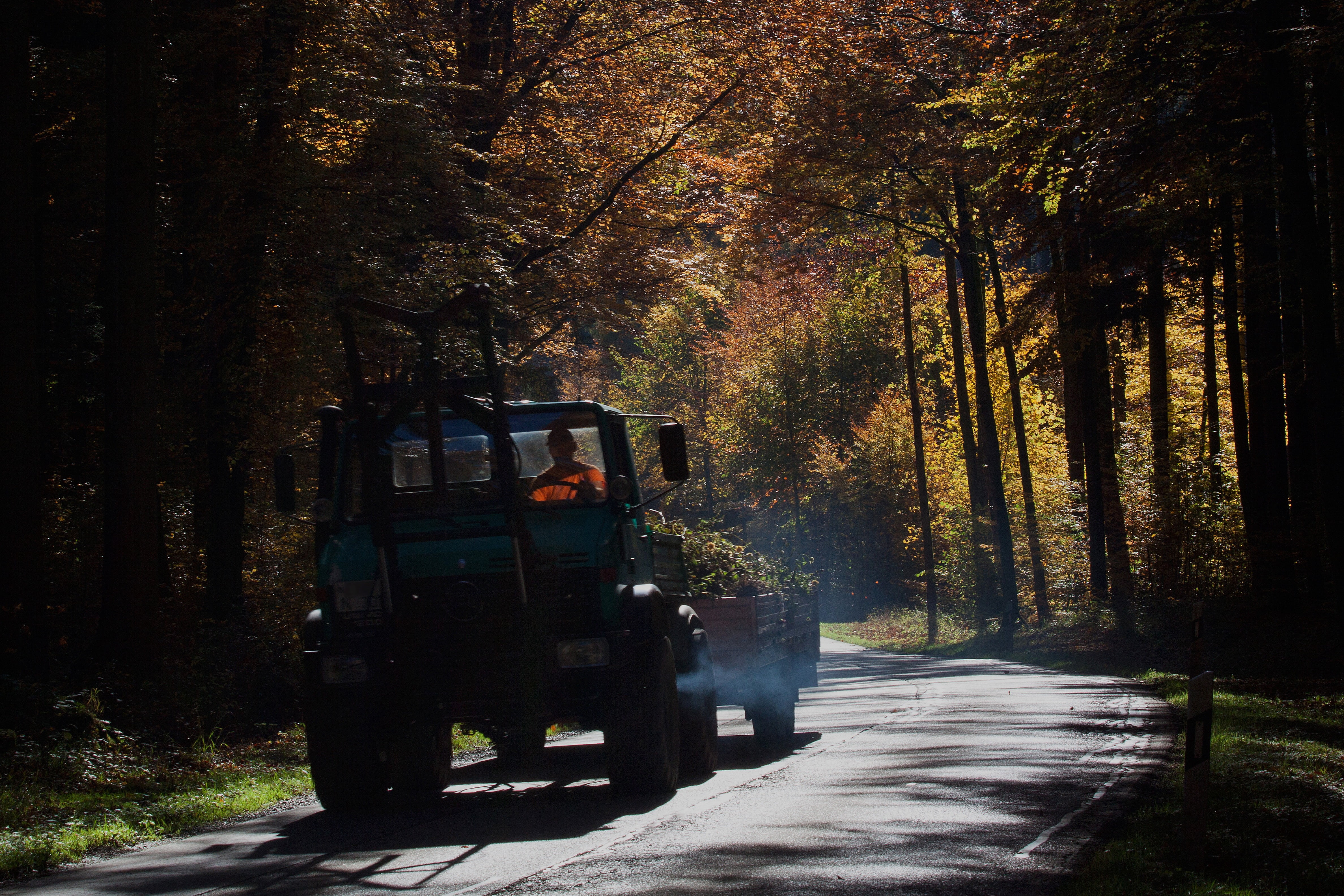 forest road, golden october, no people, vice, yellow, land vehicle, tree trunk, leaves in the autumn, sunlight, unimog, exhaust gases, forest, growth, street, HD Wallpaper