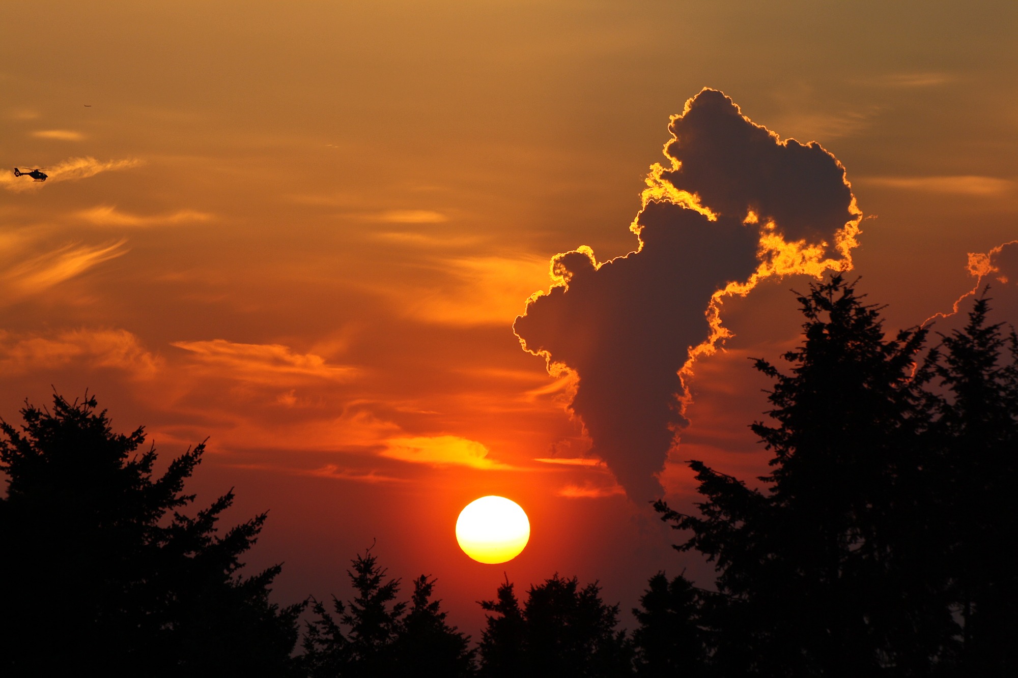 plant, atmospheric mood, steam, industry cloud, orange color, tree, scenics - nature, trees, dramatic sky, no people, coniferous tree, sun, 1080P, evening sky, HD Wallpaper
