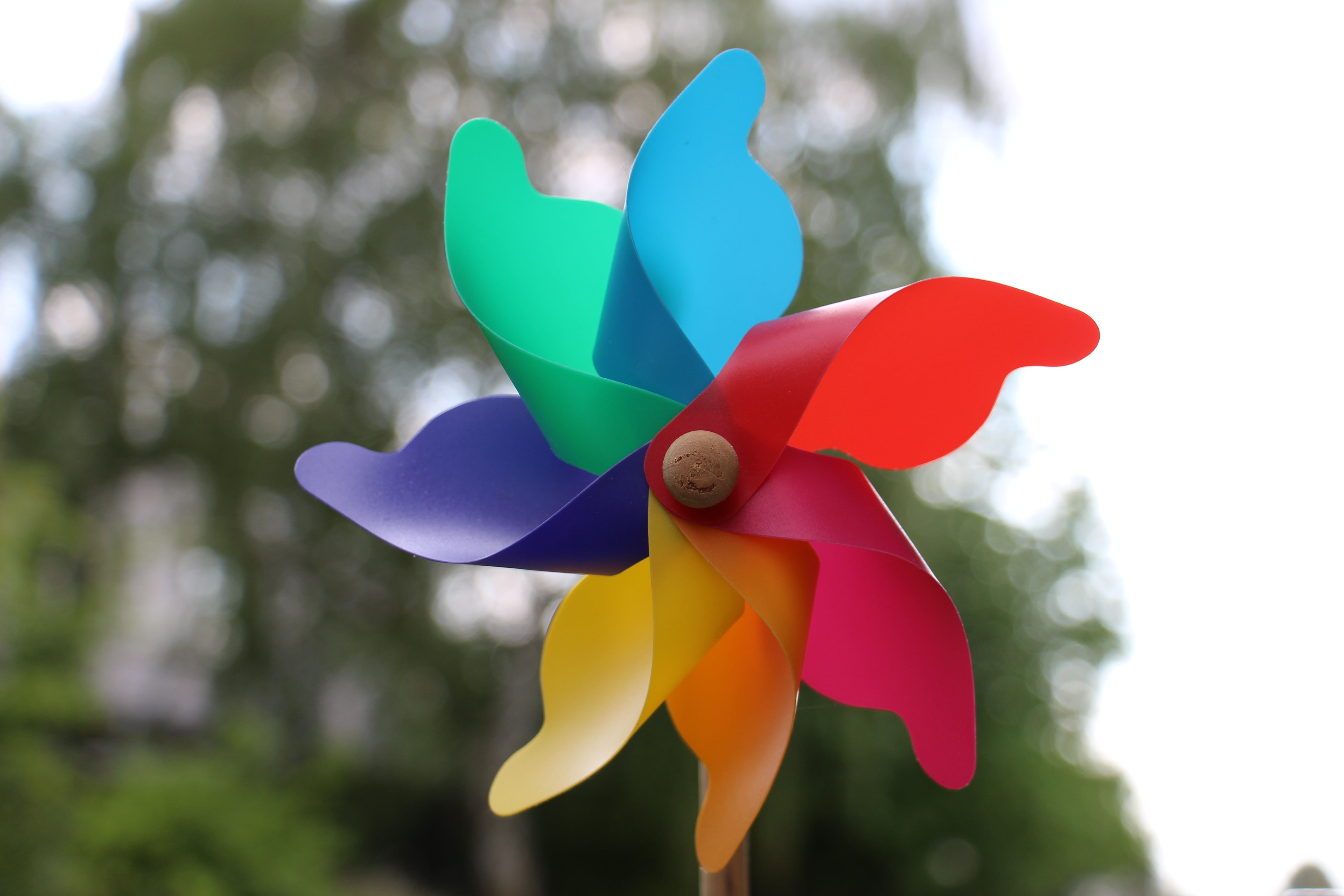 vein, farbenspiel, children, close-up, green, art and craft, cheerful, no people, plant, red, focus, pinwheel toy, colorful, blue, wind, single object, HD Wallpaper