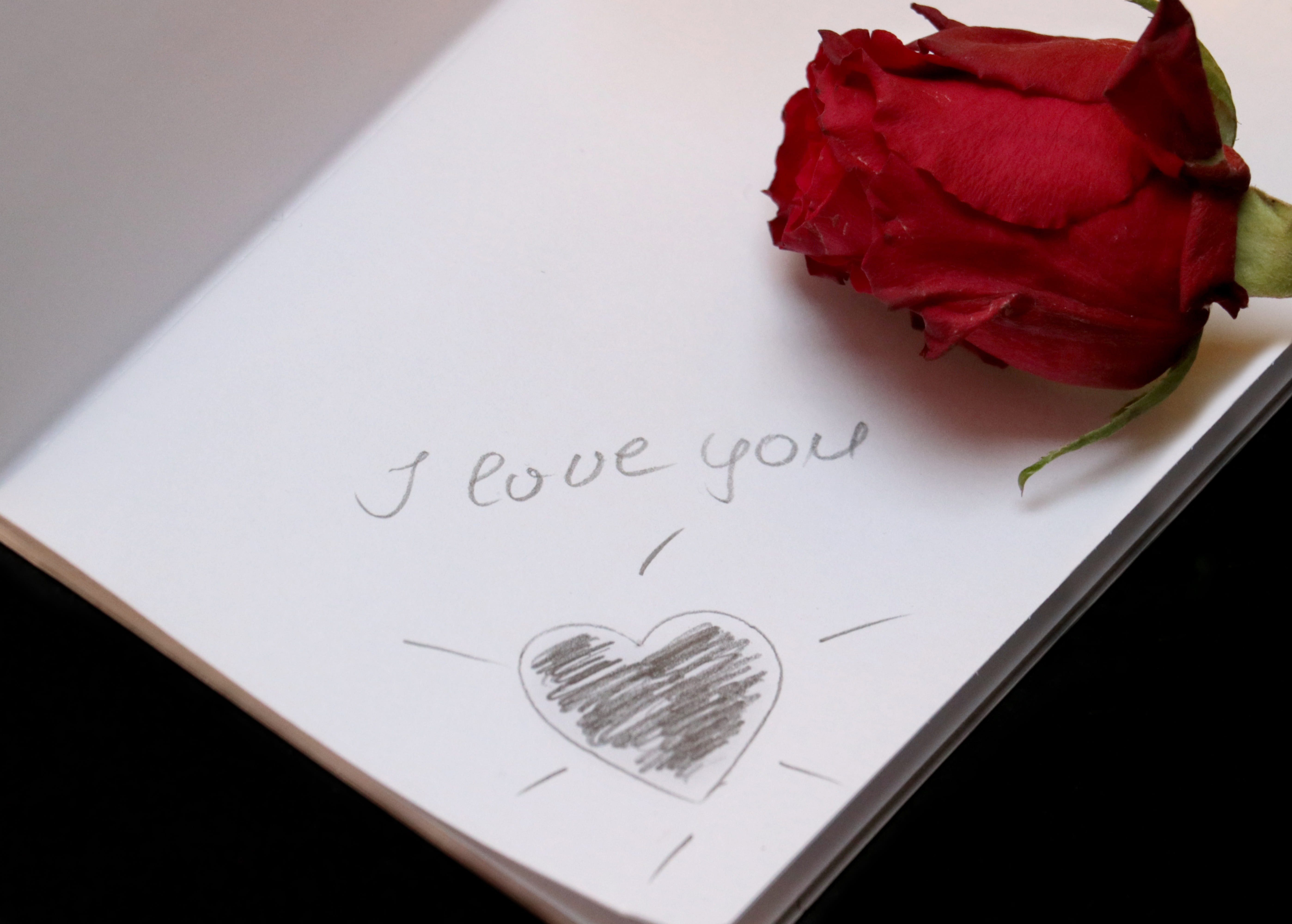 pitched, high angle view, communication, message, plant, positive emotion, rose, greeting card, red rose, emotion, rose - flower, herzchen, heart, favorite book, HD Wallpaper