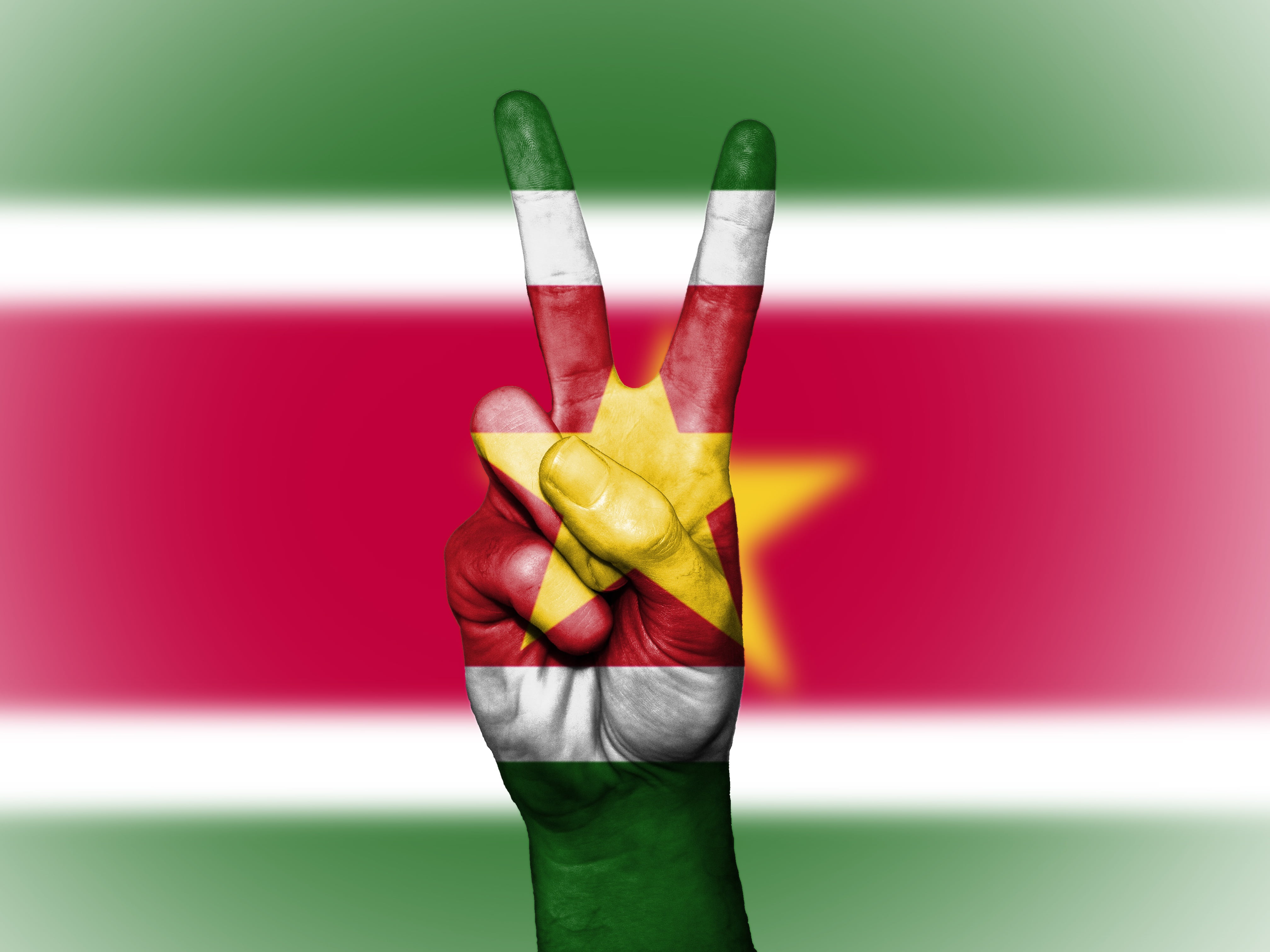 body part, hand, green color, background, colored background, travel, national Landmark, peace, focus on foreground, indoors, suriname, patriotism, art and craft, HD Wallpaper