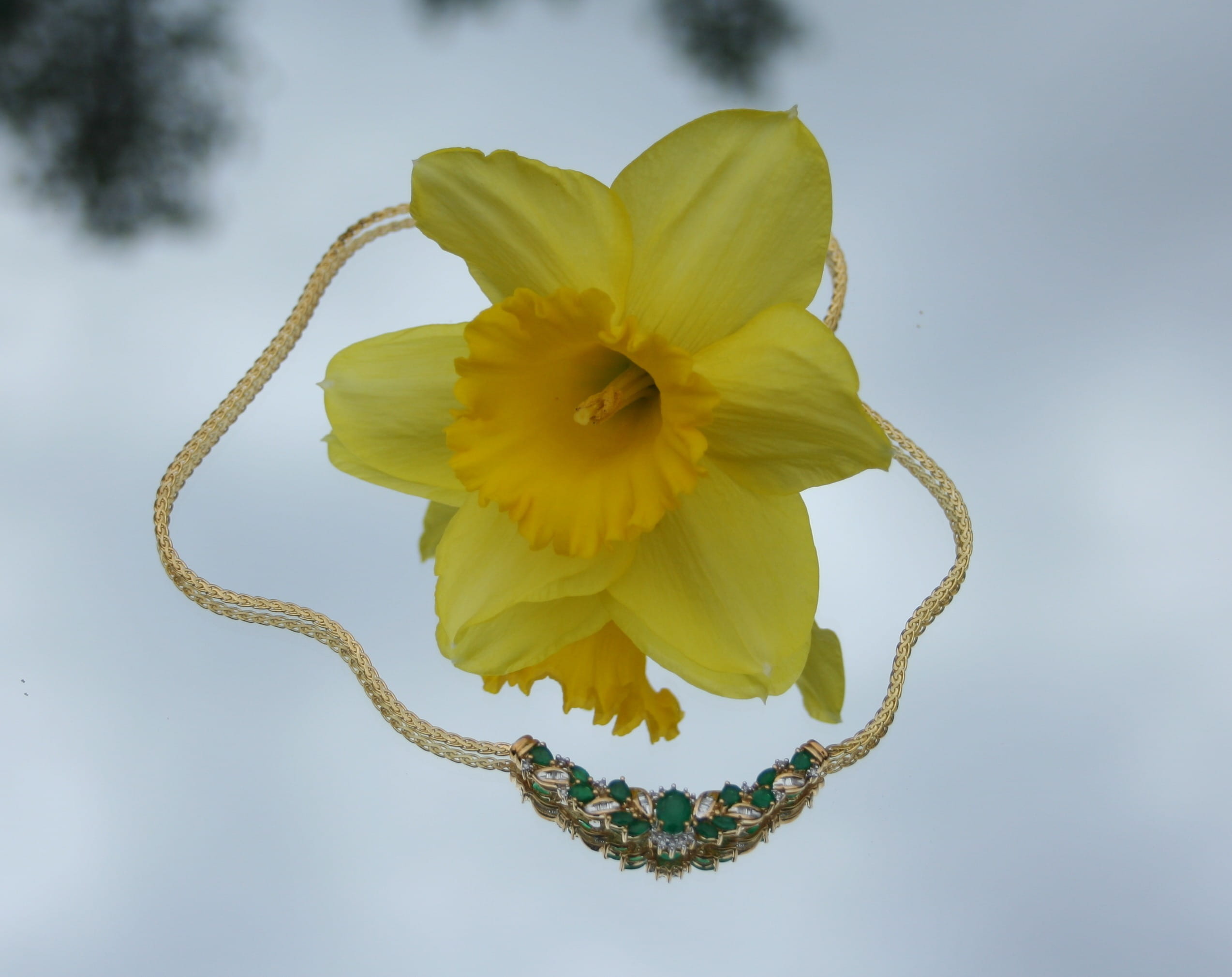 female, bead, plant, woman, collection, treasure, Necklace, fashion, petal, style, jewel, freshness, Daffodil, inflorescence, gem, pollen, no people, Emeralds, HD Wallpaper