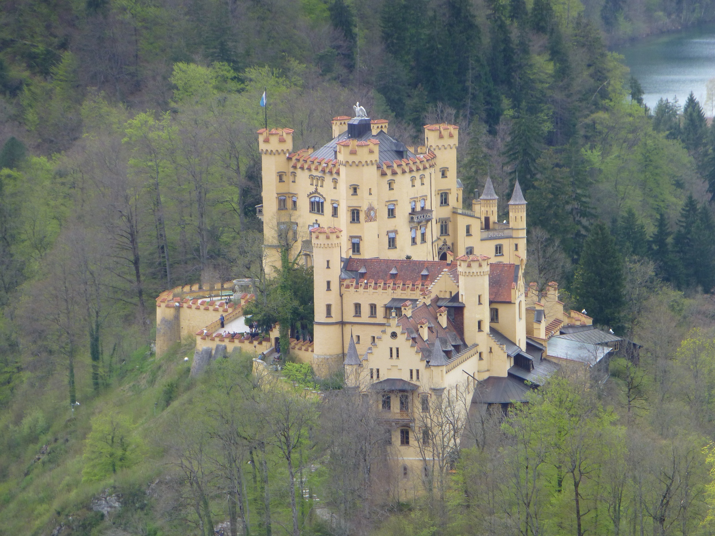 architecture, trees, ludwig ii, füssen, mountain, history, chateau, palace, high angle view, fairytale, town, panorama, princess, europe, house, day, built structure, HD Wallpaper