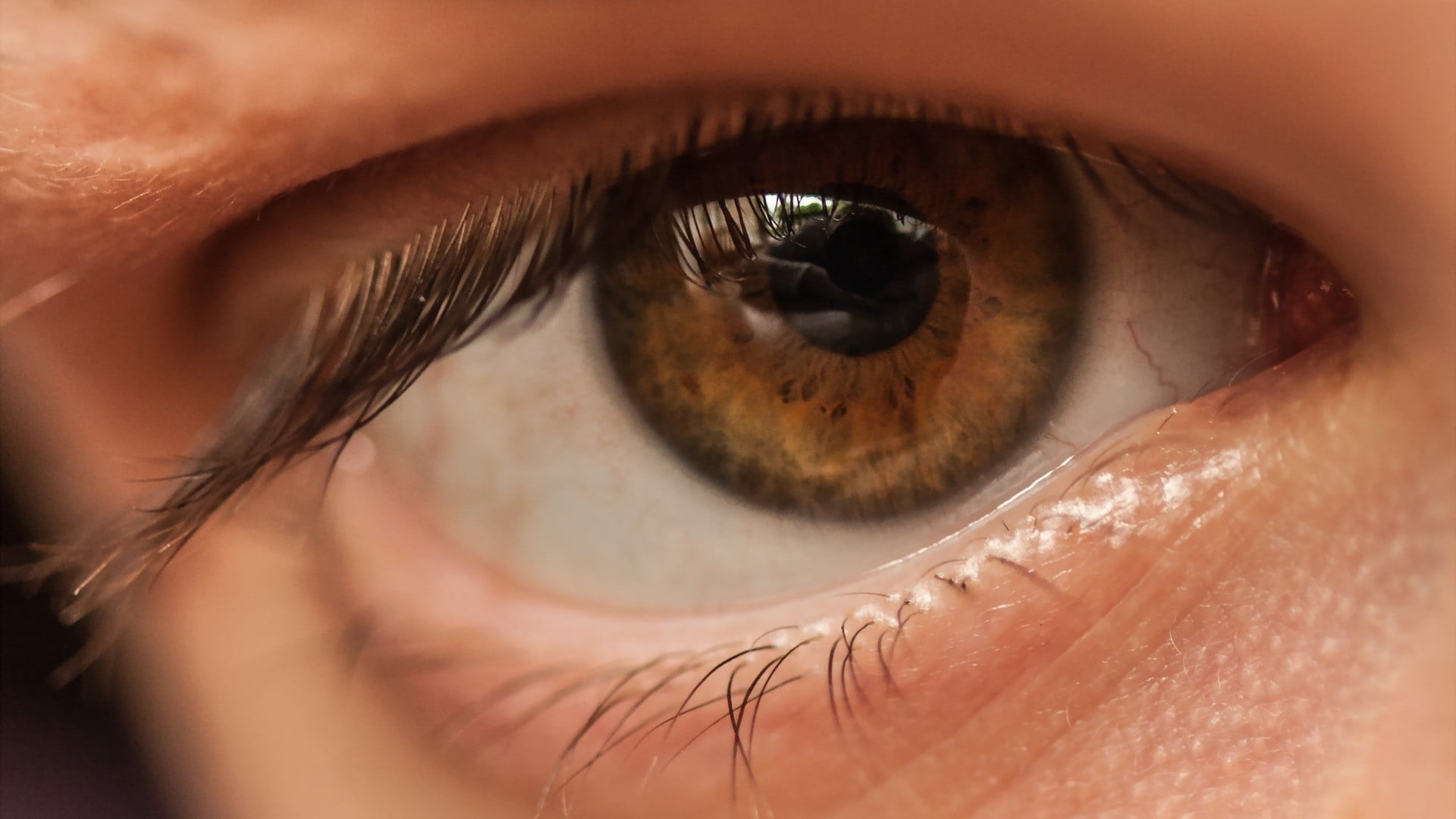 reflection, looking, sensory perception, 1080P, ceramic, eyelash, bowl, eyesight, women, beautiful woman, extreme close-up, adult, human body part, body part, HD Wallpaper