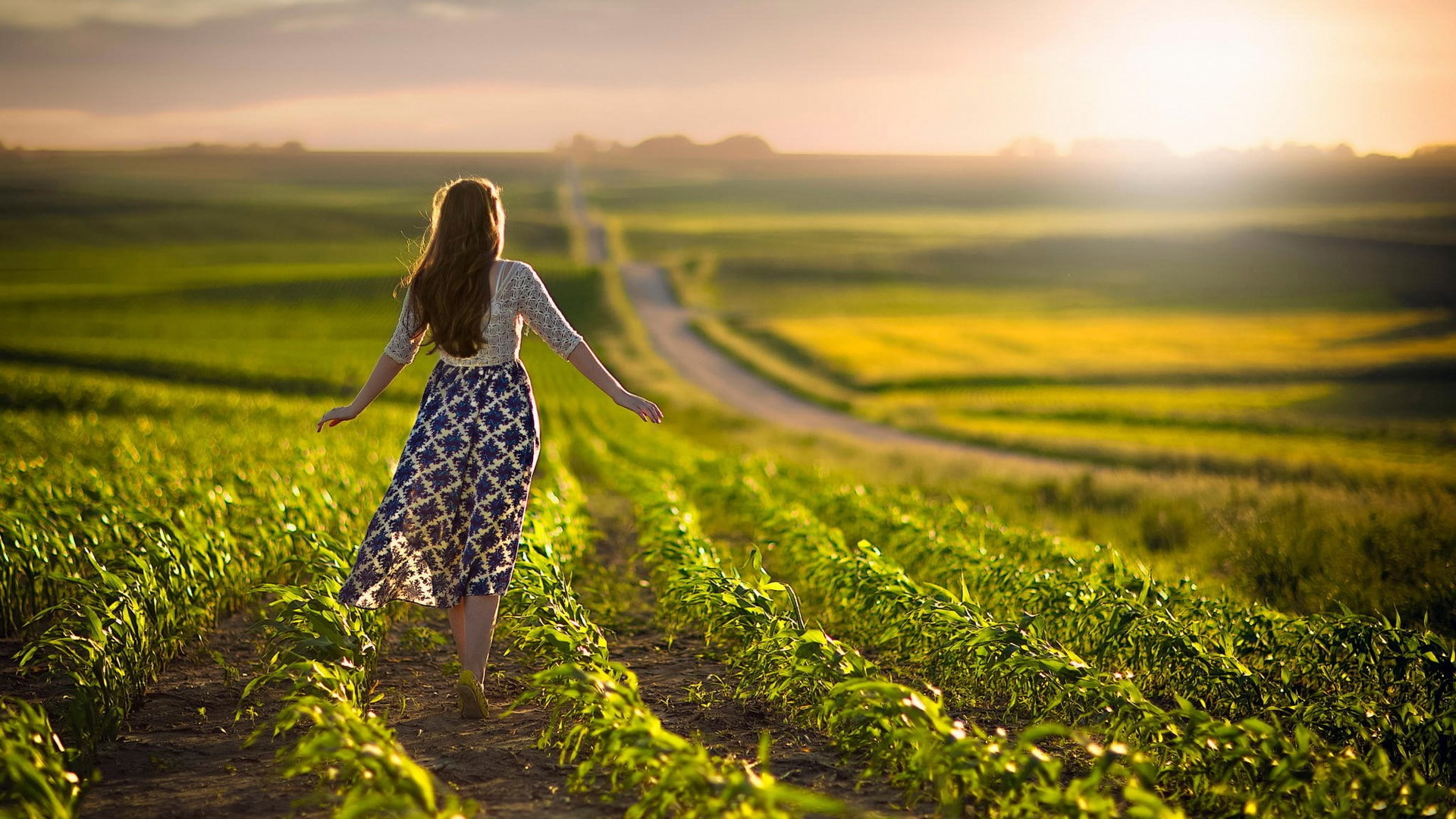 hairstyle, long hair, teenager, rear view, hair, land, environment, farm, freedom, dress, one person, plant, outdoors, 1080P, springtime, adult, nice girl pic 1920x1080, HD Wallpaper