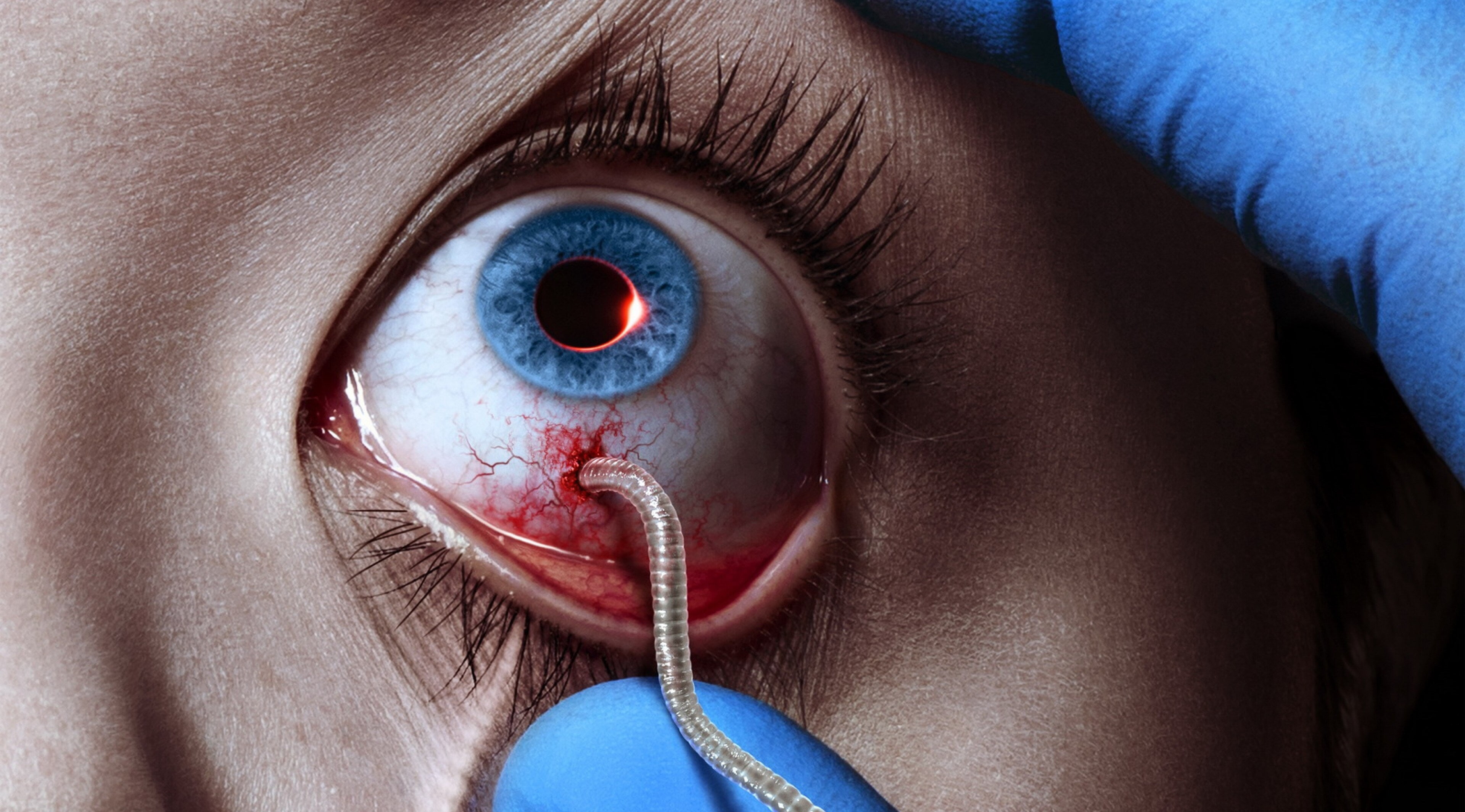 one person, blue, eyebrow, eyeball, eyelash, human body part, portrait, close-up, horror, extreme close-up, 4K, human face, sensory perception, adult, HD Wallpaper