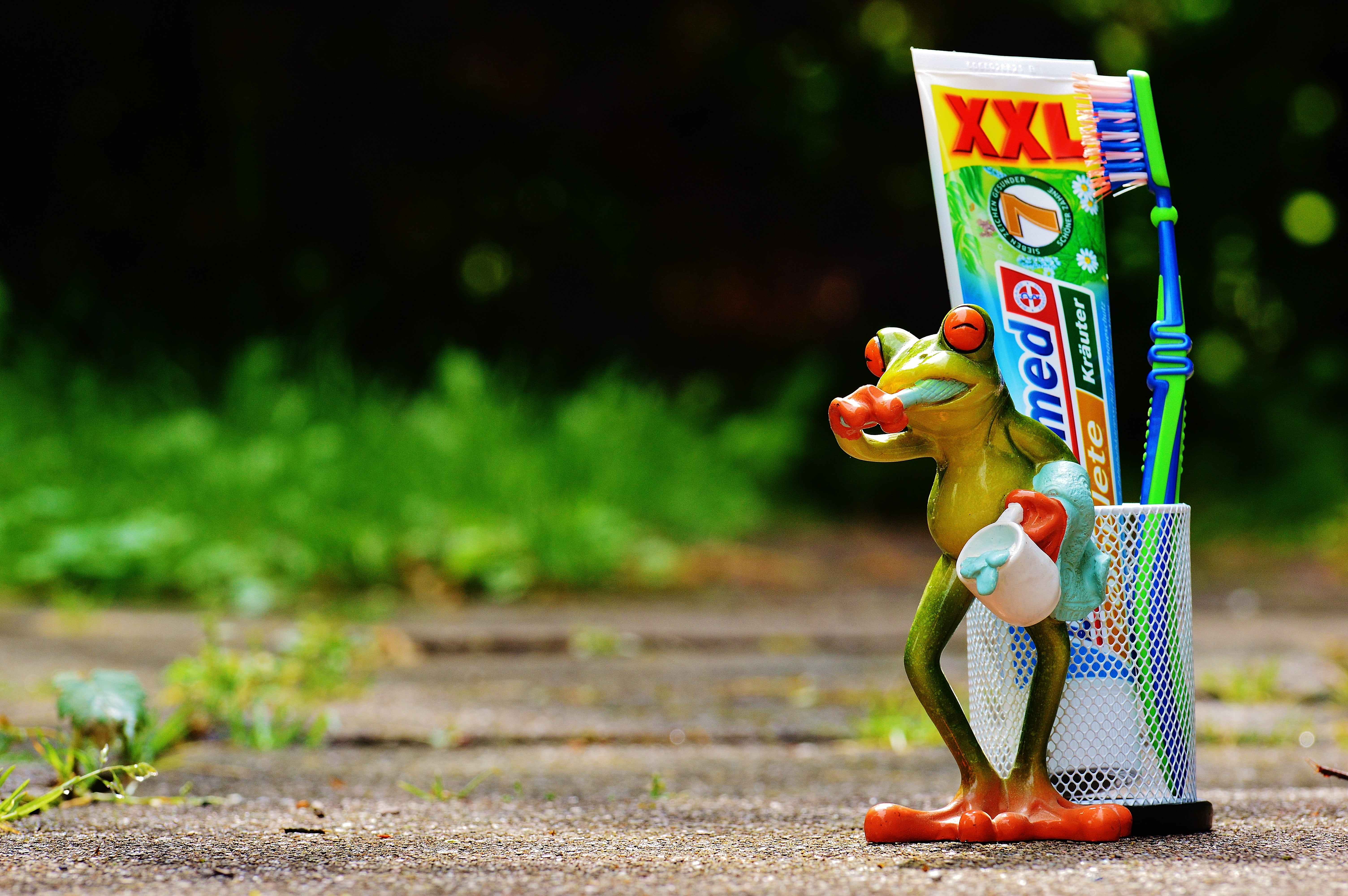bless you, toothpaste, frog, dental care, cute, dental hygiene, brush, arts culture and entertainment, basket, focus on foreground, hygiene, funny, cleanliness, HD Wallpaper