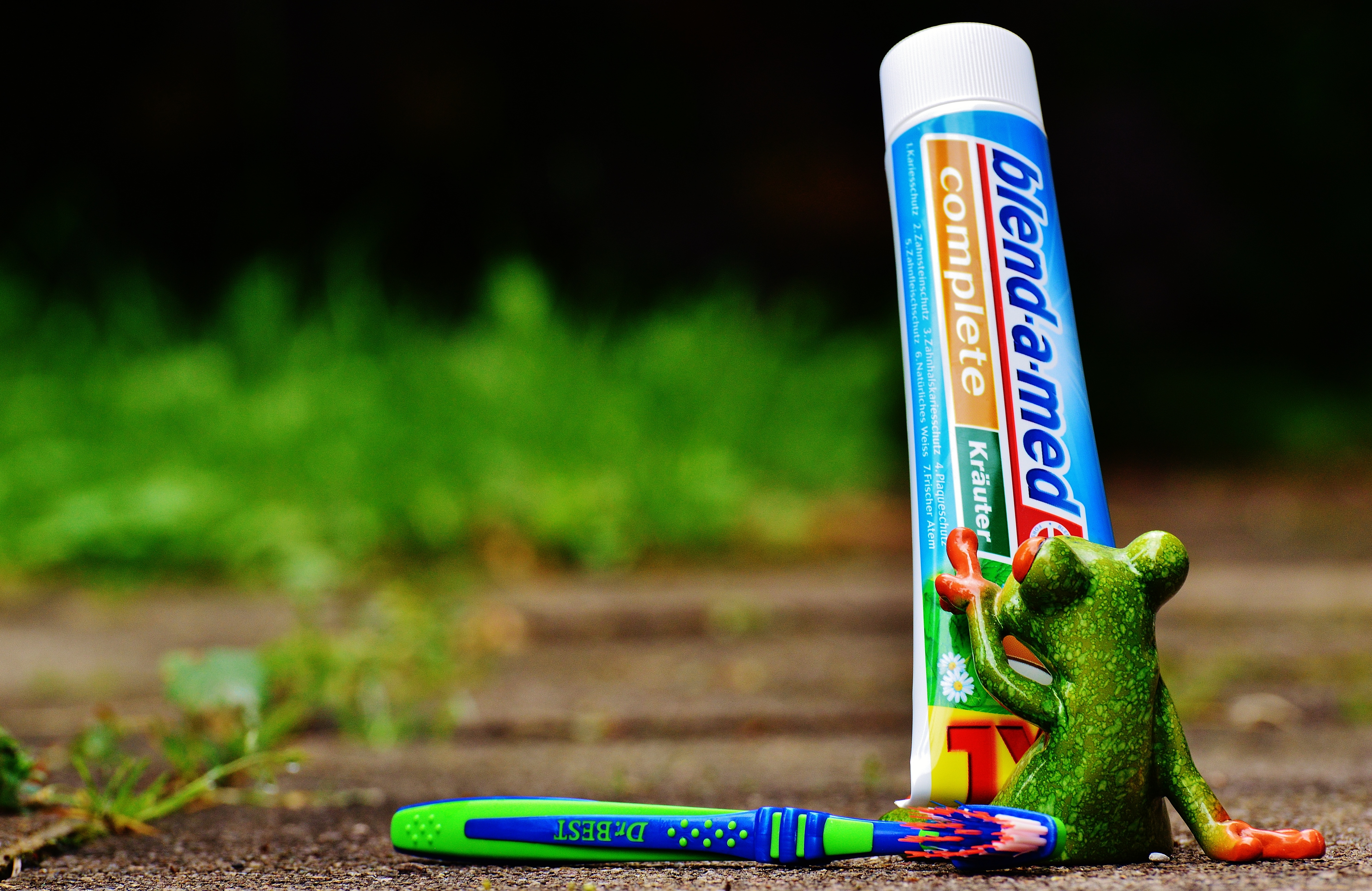 day, bless you, blue, selective focus, art and craft, field, cute, 5K, nature, green color, park, brush head, clean, land, no people, toothbrush, frog, HD Wallpaper
