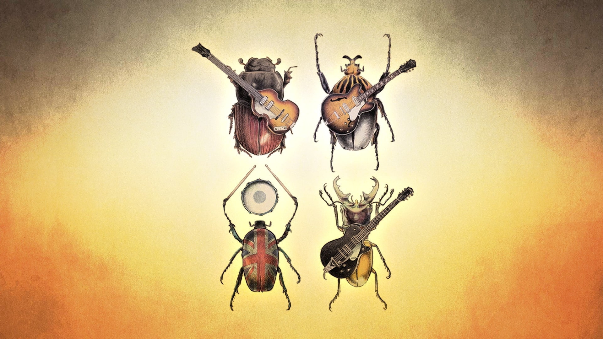 animals, beatles, guitars, artwork, x, hd, art, beetles, insects, bug, bugs, 1080P, HD Wallpaper
