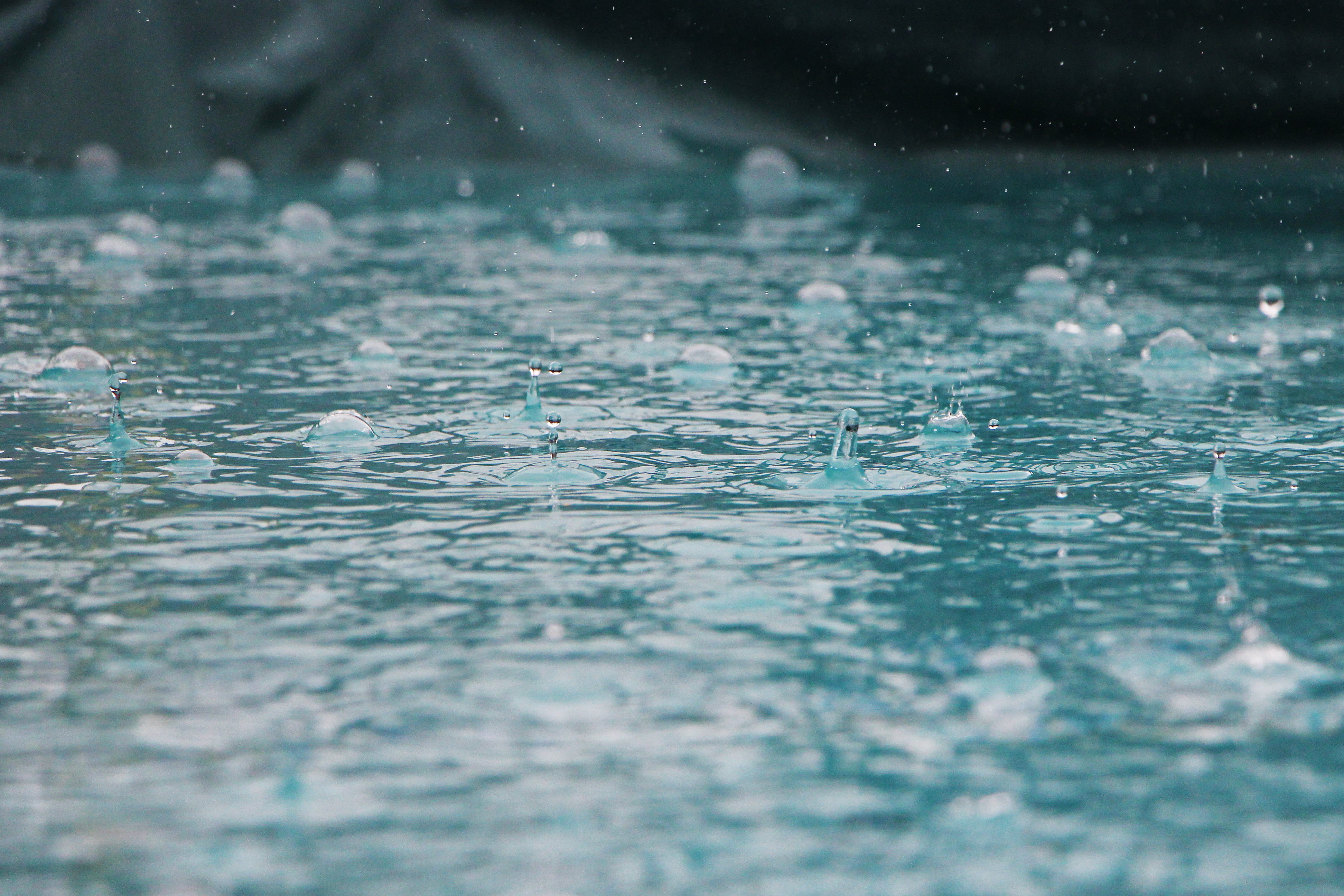 pattern, environment, pool, wave, macro, droplet, 5K, drop, clear, sport, texture, selective focus, spring, water, cold temperature, raindrop, splash, HD Wallpaper