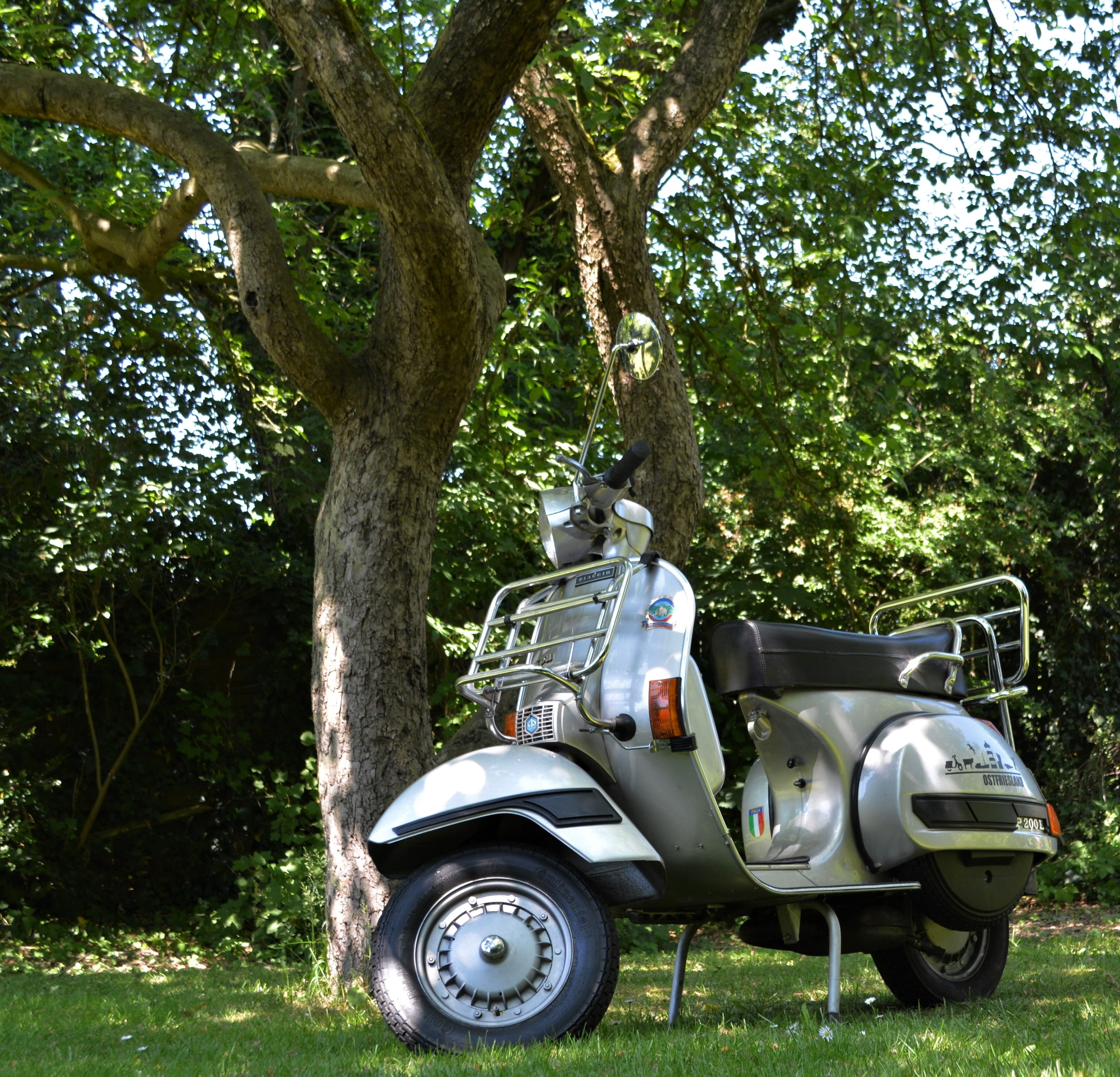 growth, field, fun, flitzer, retro, two wheeled vehicle, vespa, outdoors, plant, roller, park - man made space, motor scooter, oldtimer, 2K, grass, p200e, HD Wallpaper
