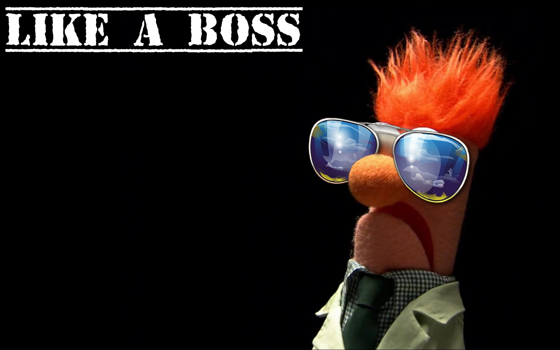 muppet, 1080P, show, boss, beaker, HD Wallpaper