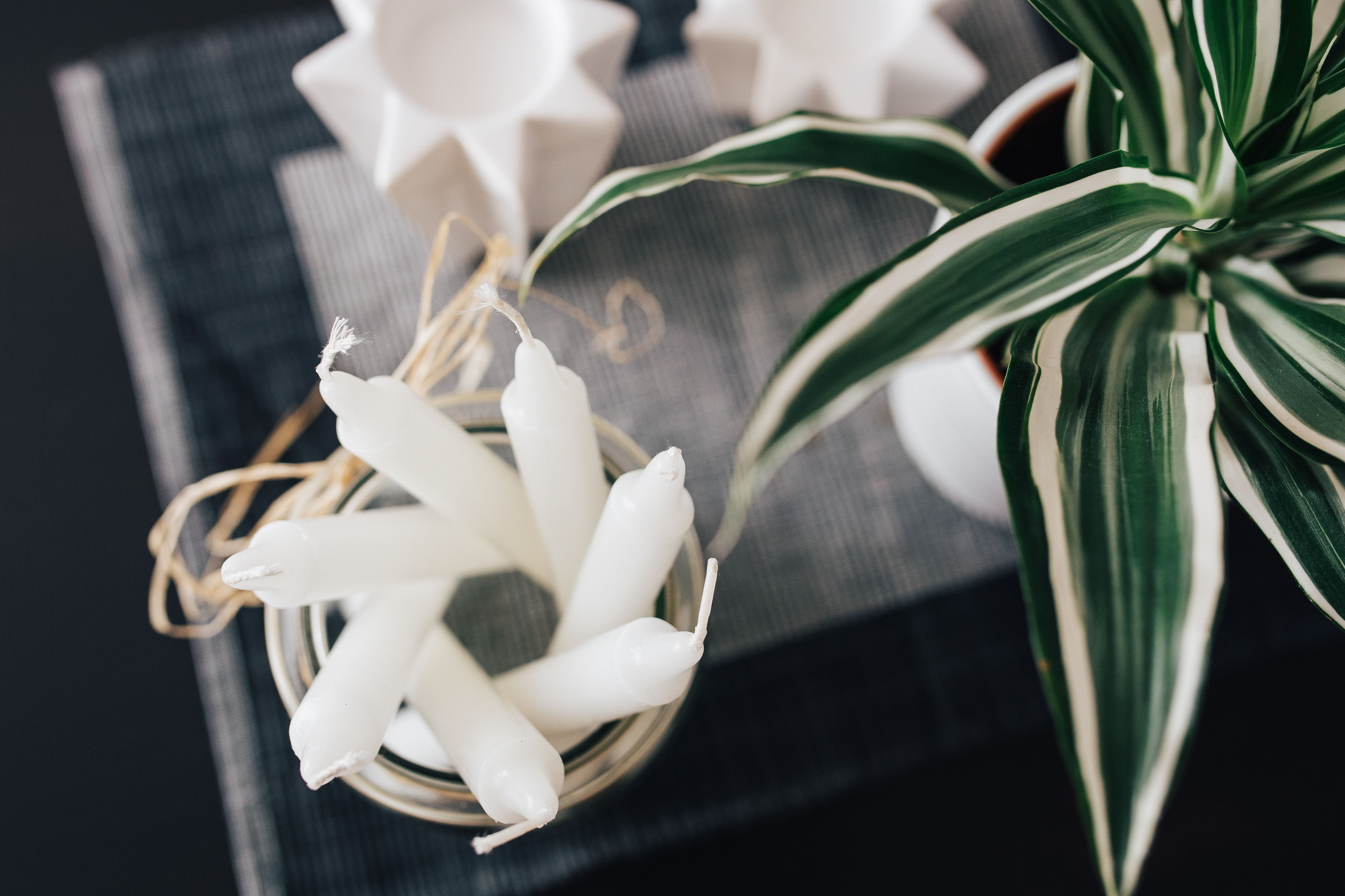 plant, freshness, selective focus, close, close-up, closeup, no people, miscellaneous, bouquet, luxury, decoration, flower, indoors, leaf, ribbon - sewing item, HD Wallpaper